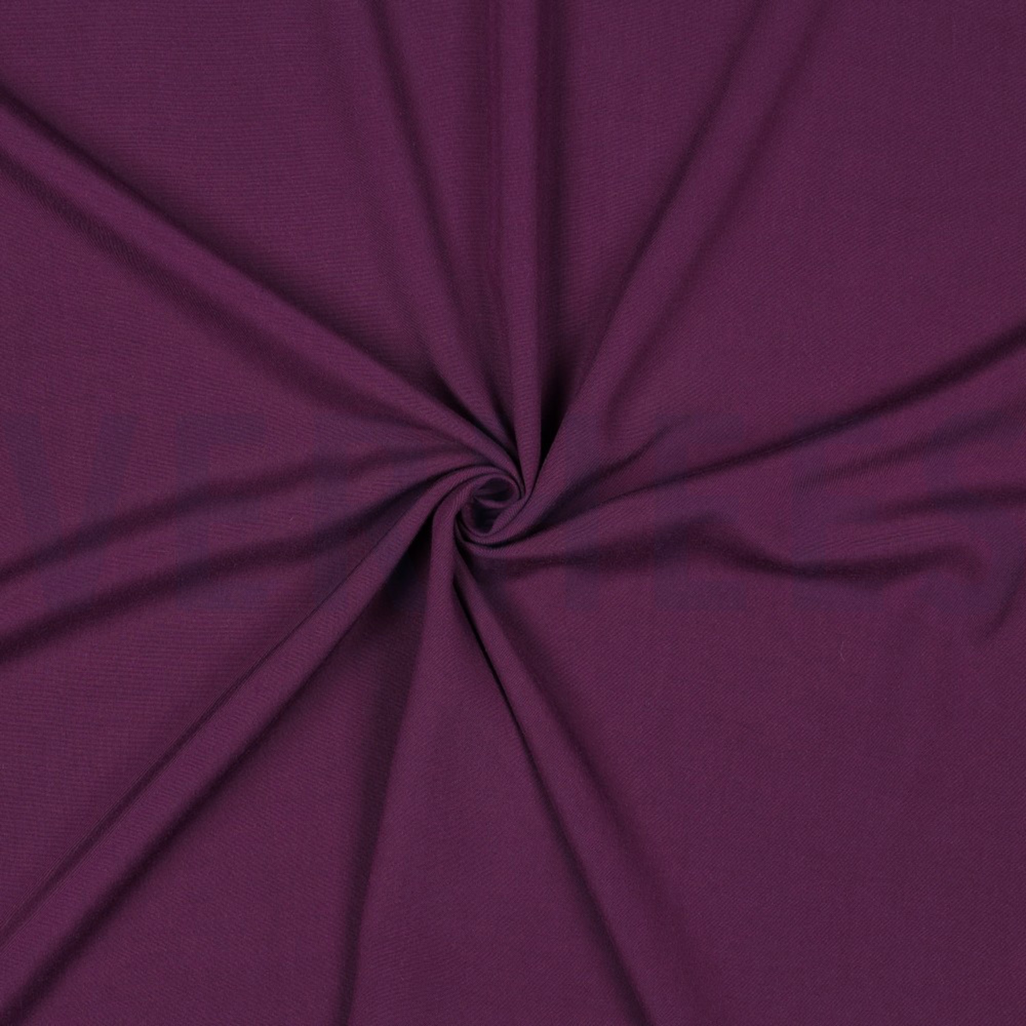 RADIANCE DARK PURPLE (high resolution) #3