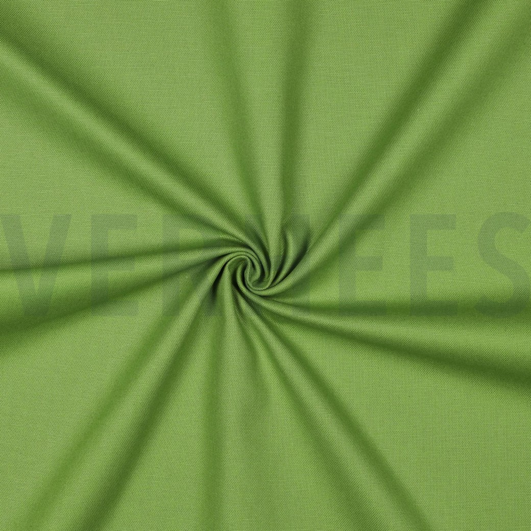 CANVAS LIME #3