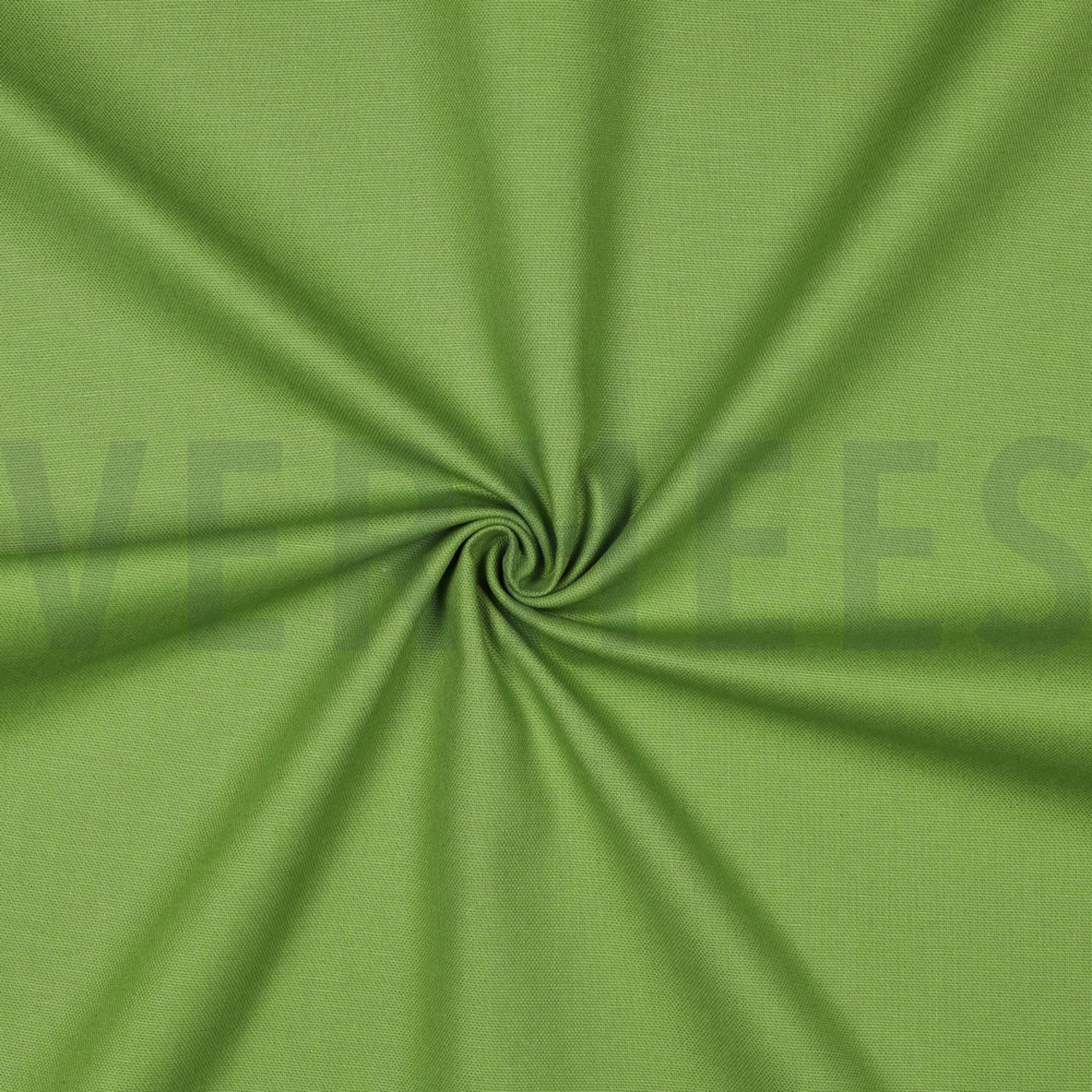 CANVAS LIME (high resolution) #3