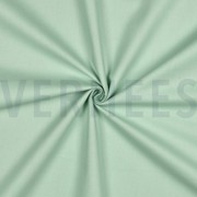 CANVAS MINT (thumbnail) #3