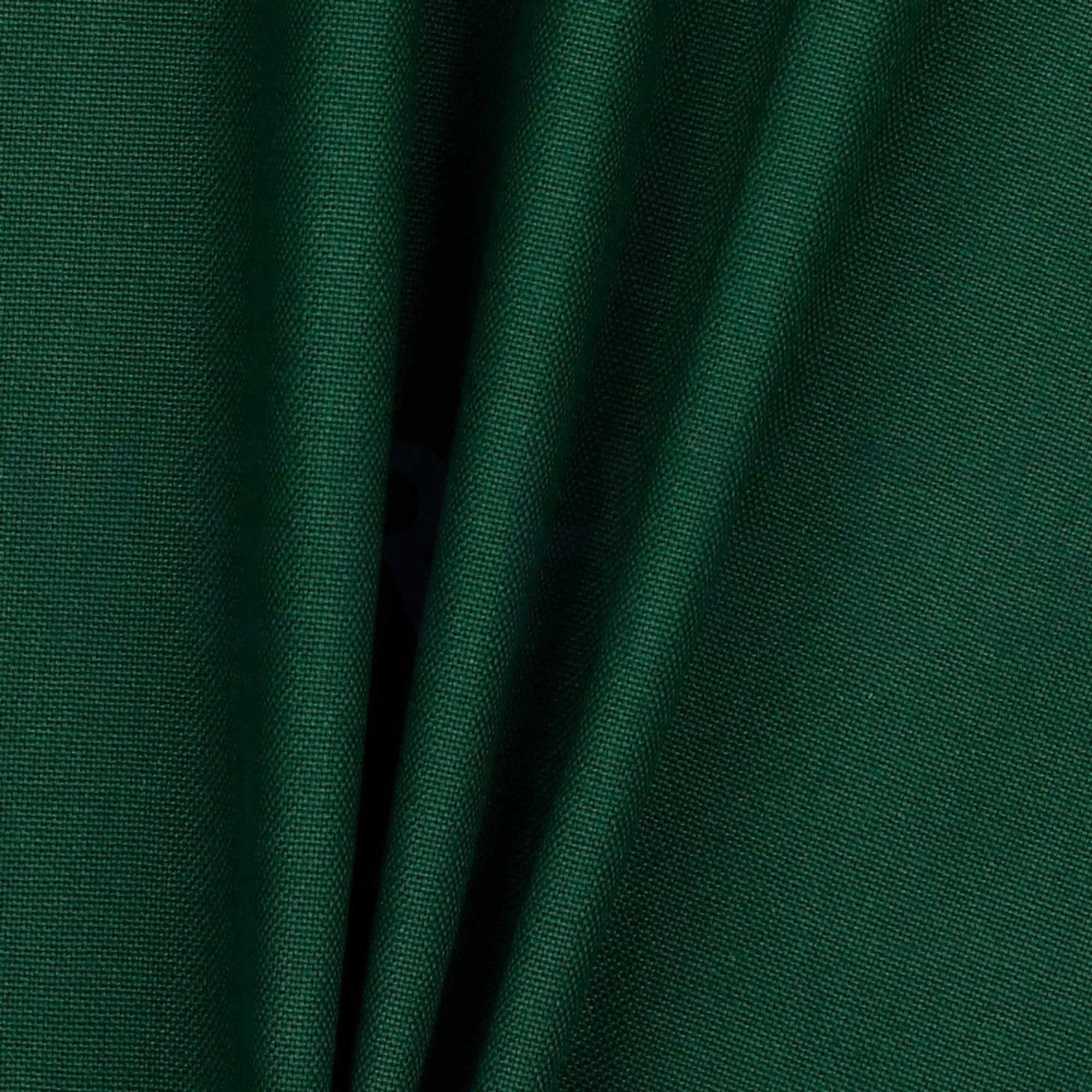 CANVAS DARK GREEN (high resolution) #3