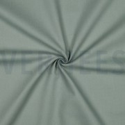 CANVAS OLD GREEN (thumbnail) #3