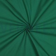 CANVAS GREEN (thumbnail) #3