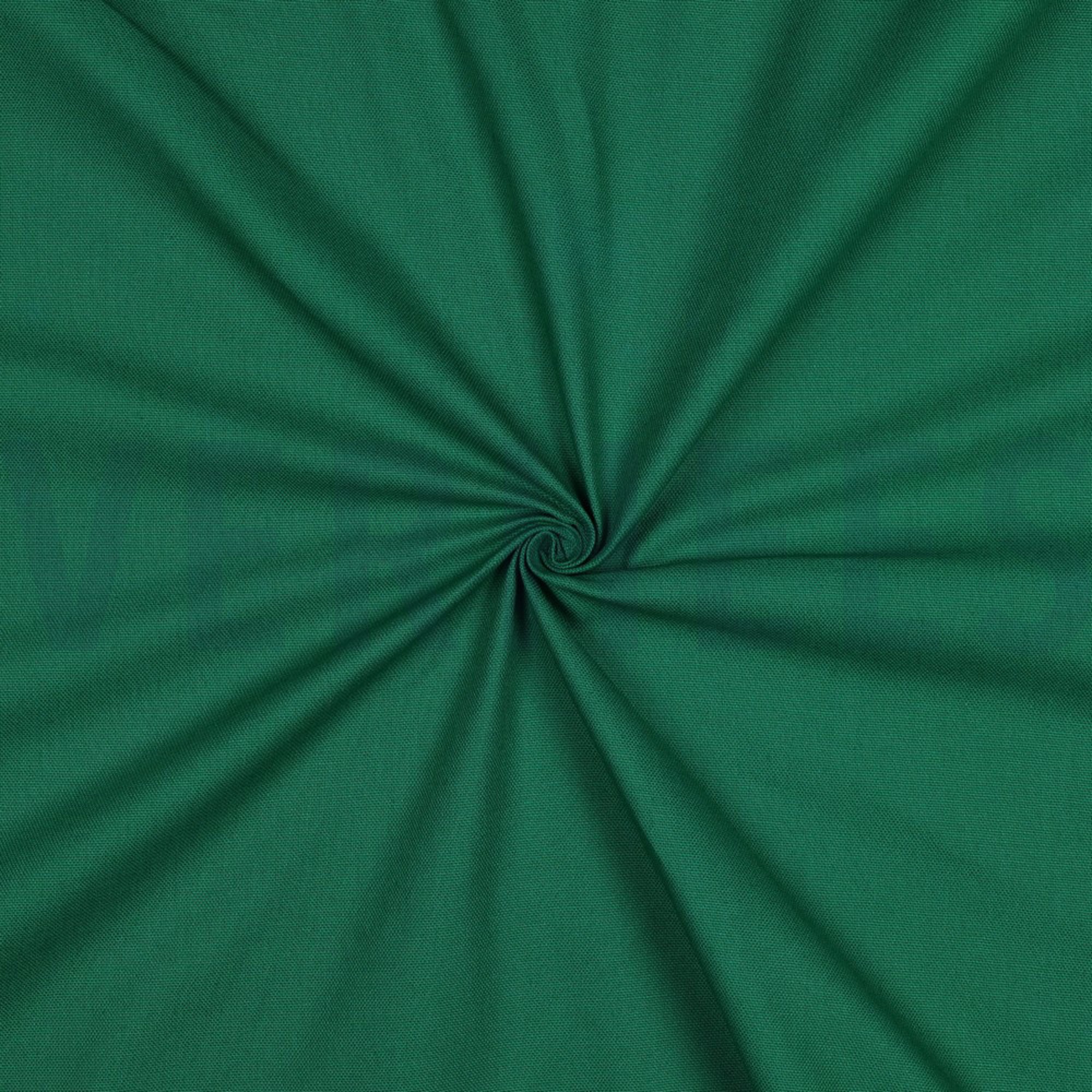 CANVAS GREEN (high resolution) #3
