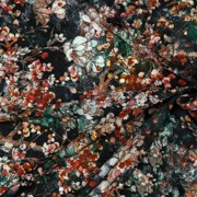 MAGNOLIA STRETCH DIGITAL BLACK (thumbnail) #3