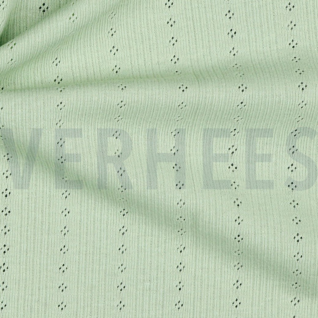 POINTOILLE SOFT GREEN #3