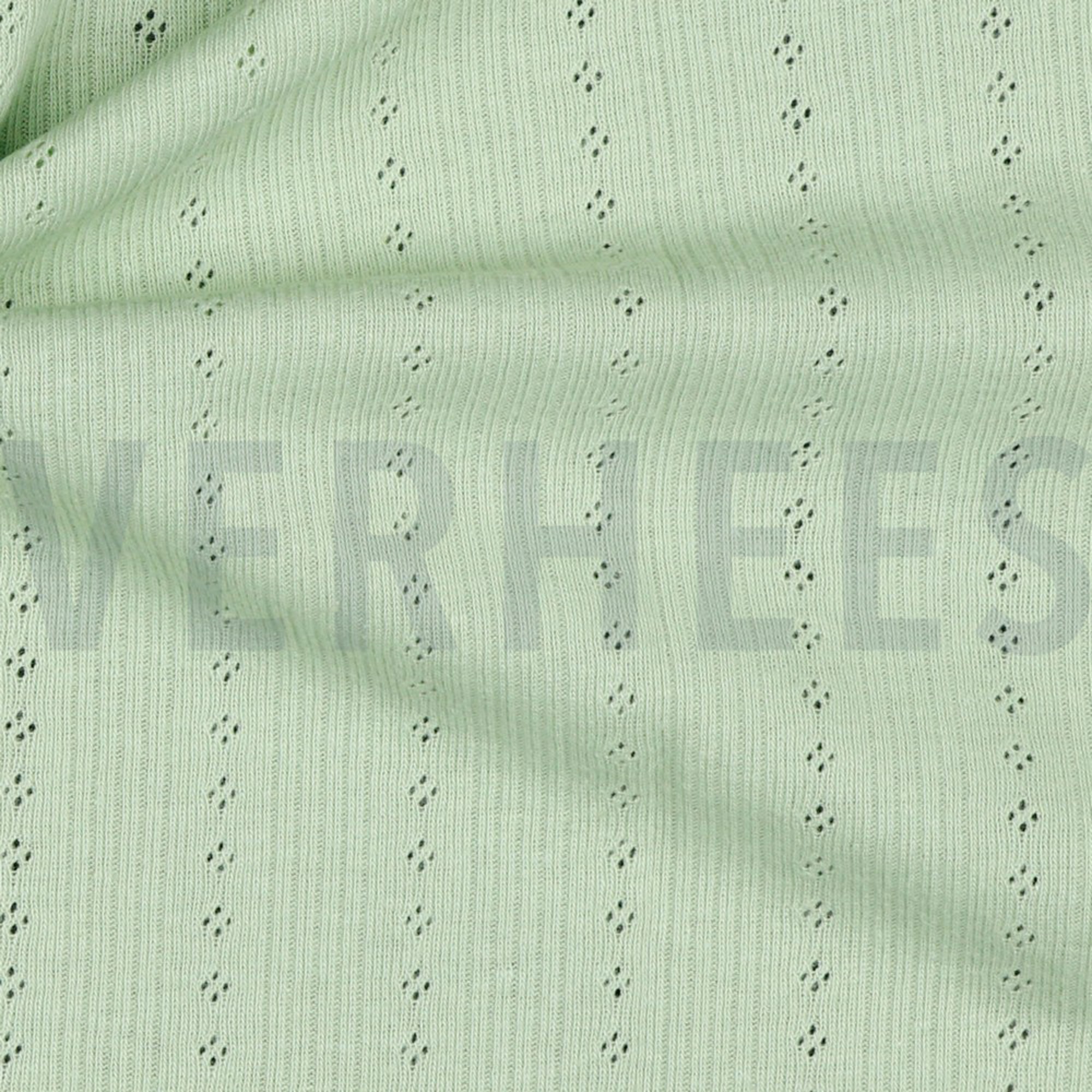POINTOILLE SOFT GREEN (high resolution) #3