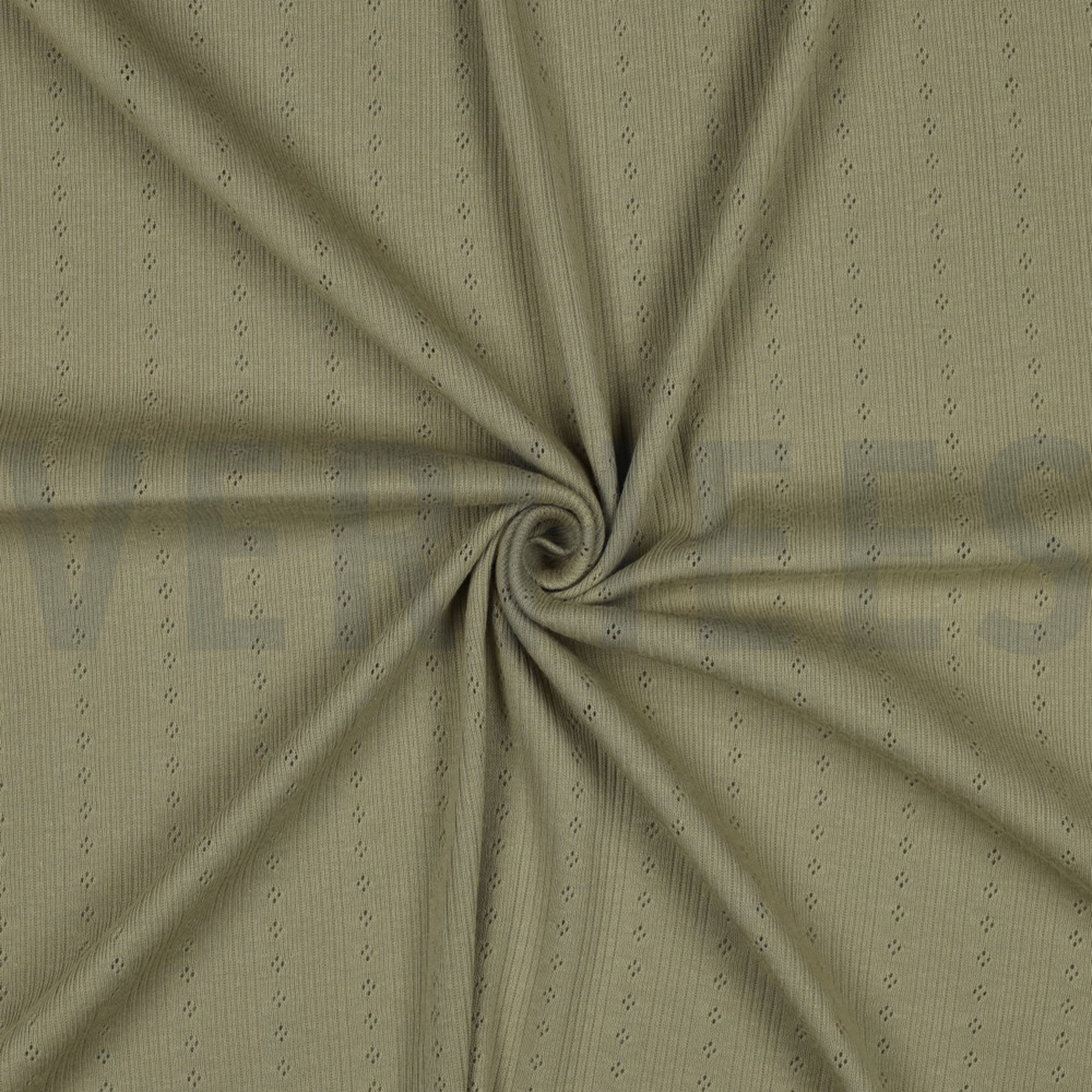 POINTOILLE SAGE  (high resolution) #3