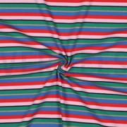 RIB JERSEY YARN DYED STRIPES MULTICOLOUR (thumbnail) #3