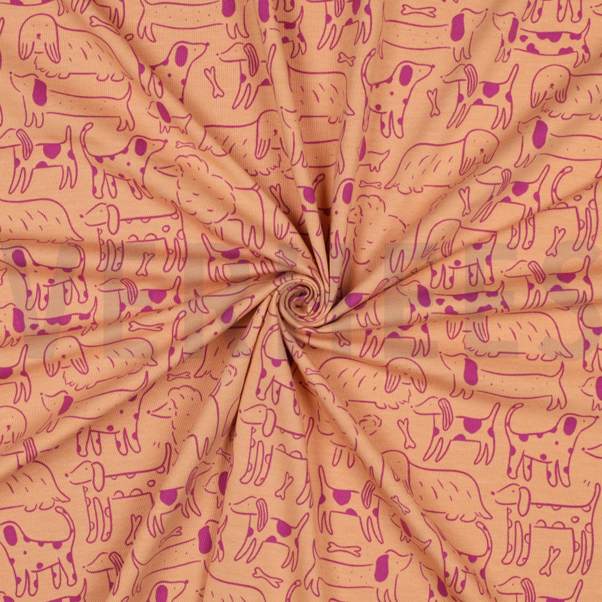 JERSEY DOGS PEACH (high resolution) #3