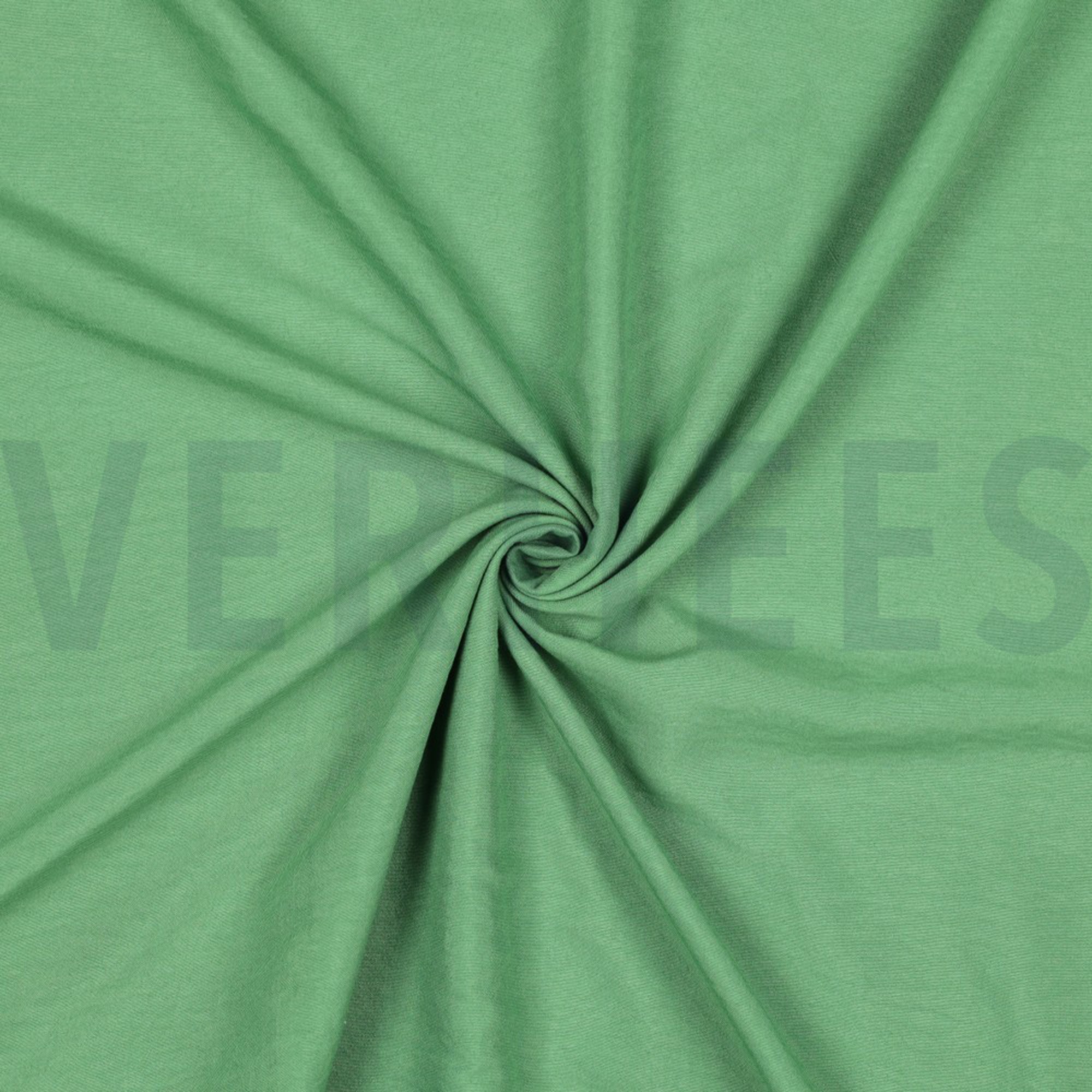 PAPILLON GREEN (high resolution) #3