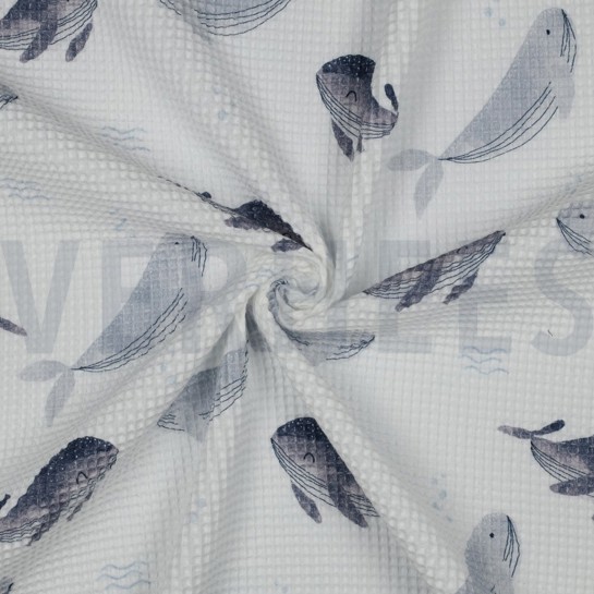 WAFFLE DIGITAL WHALES WHITE #7