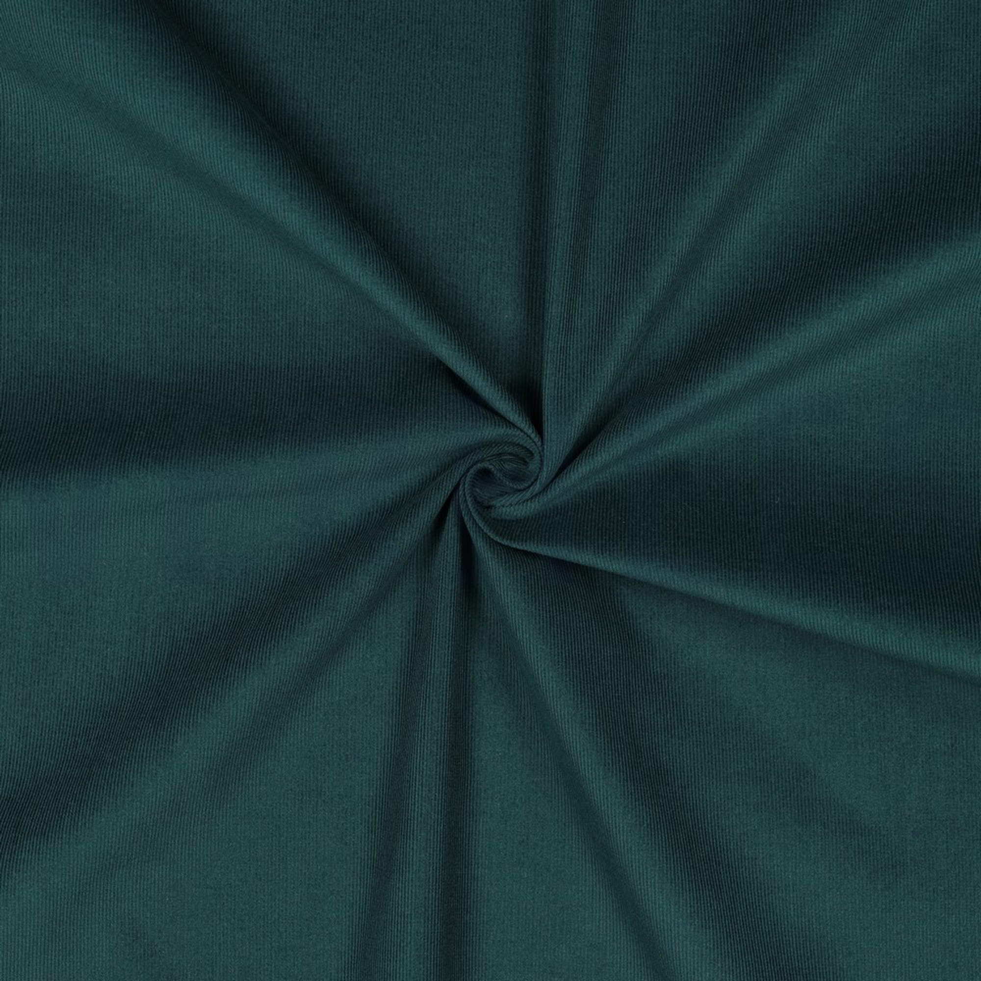 BABYCORD 21W PINE (high resolution) #3