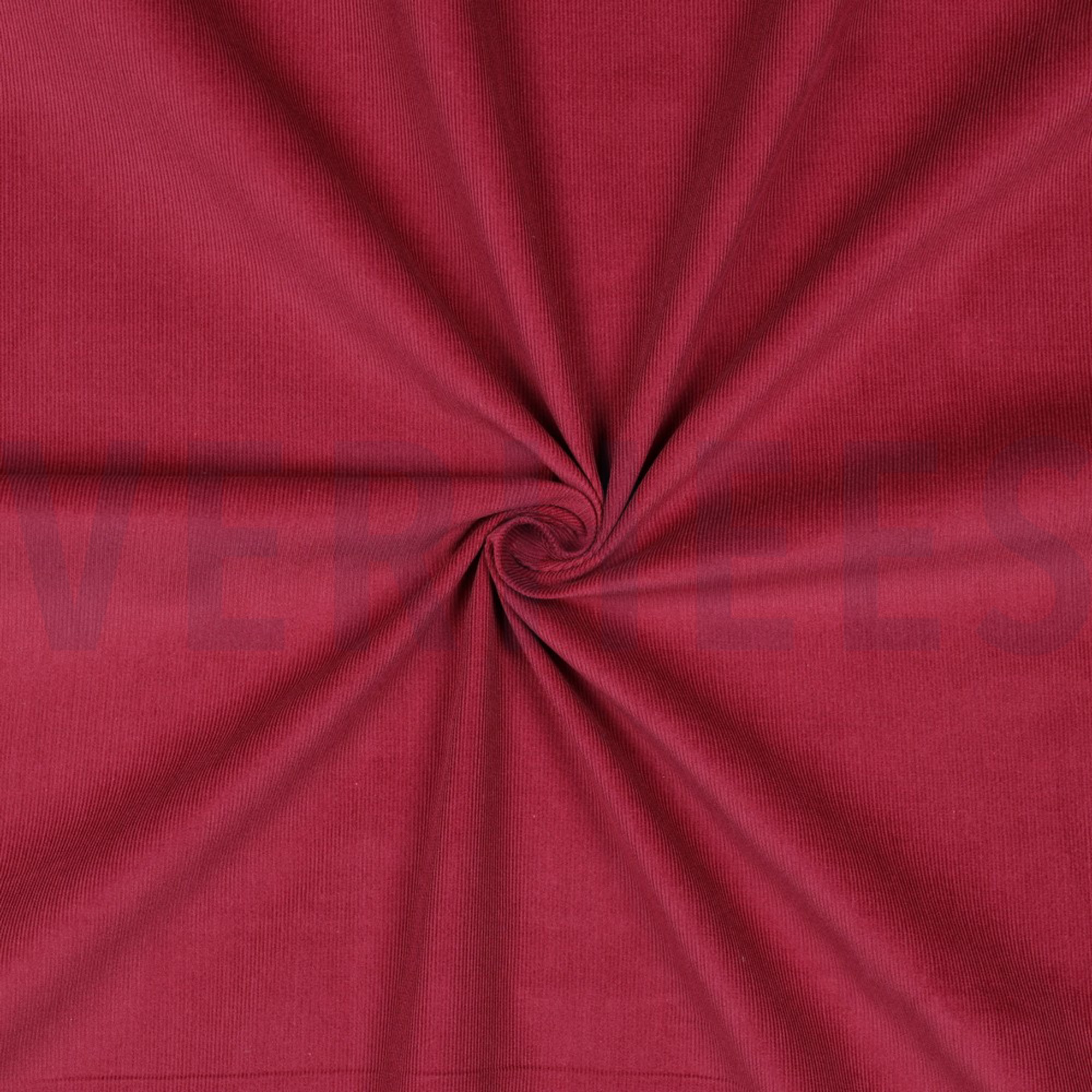 BABYCORD 21W BORDEAUX (high resolution) #3