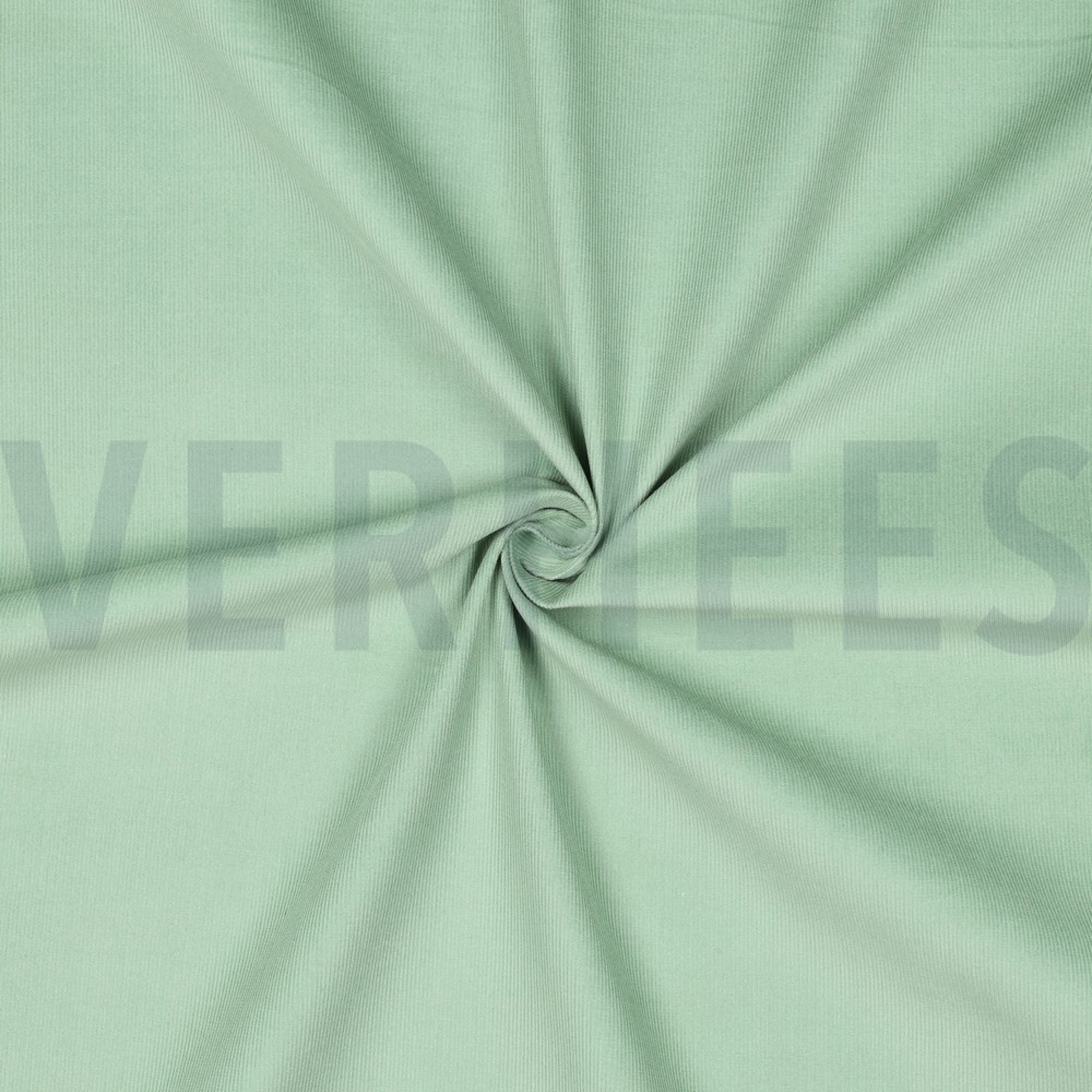 BABYCORD 21W OLD GREEN (high resolution) #3
