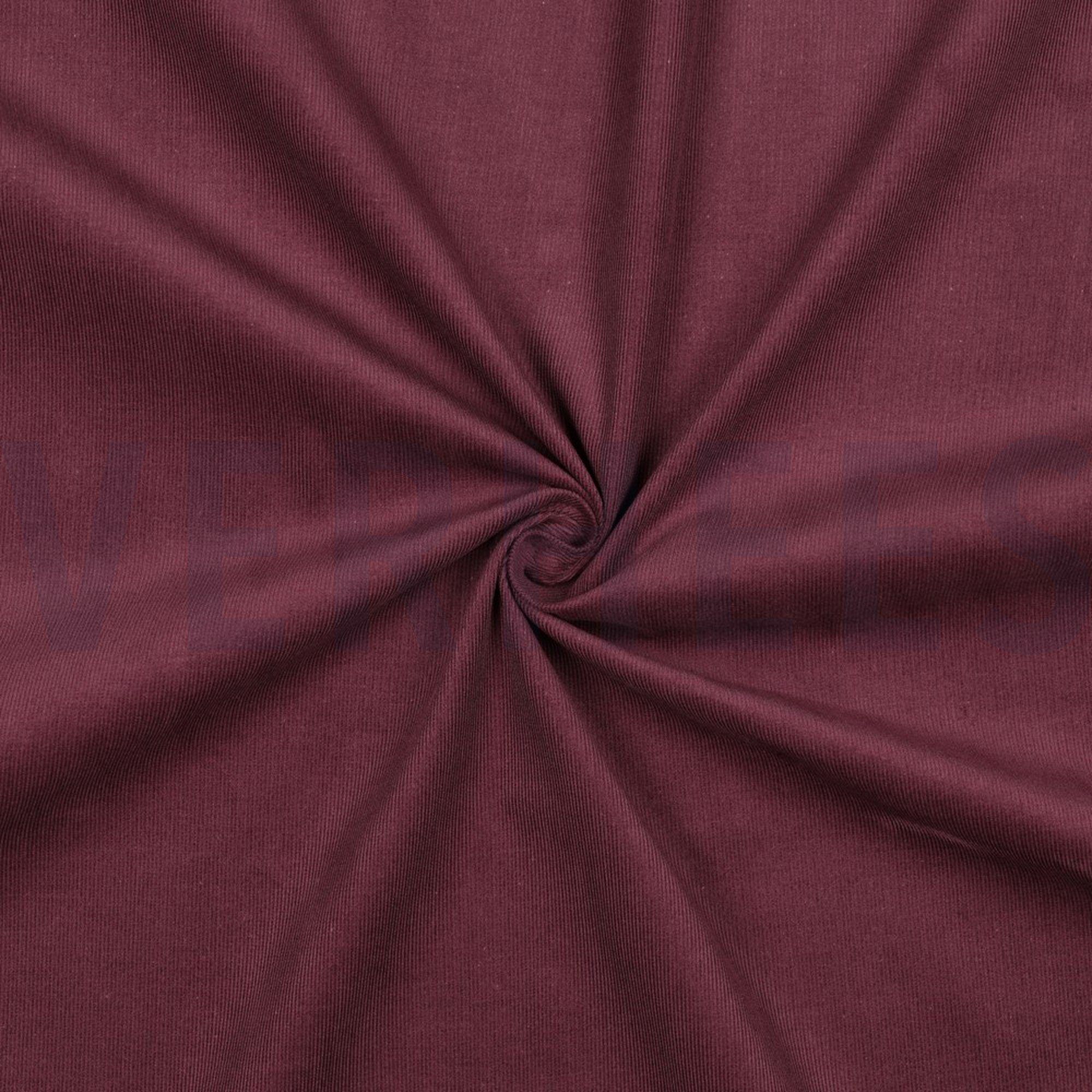 BABYCORD 21W AUBERGINE (high resolution) #3