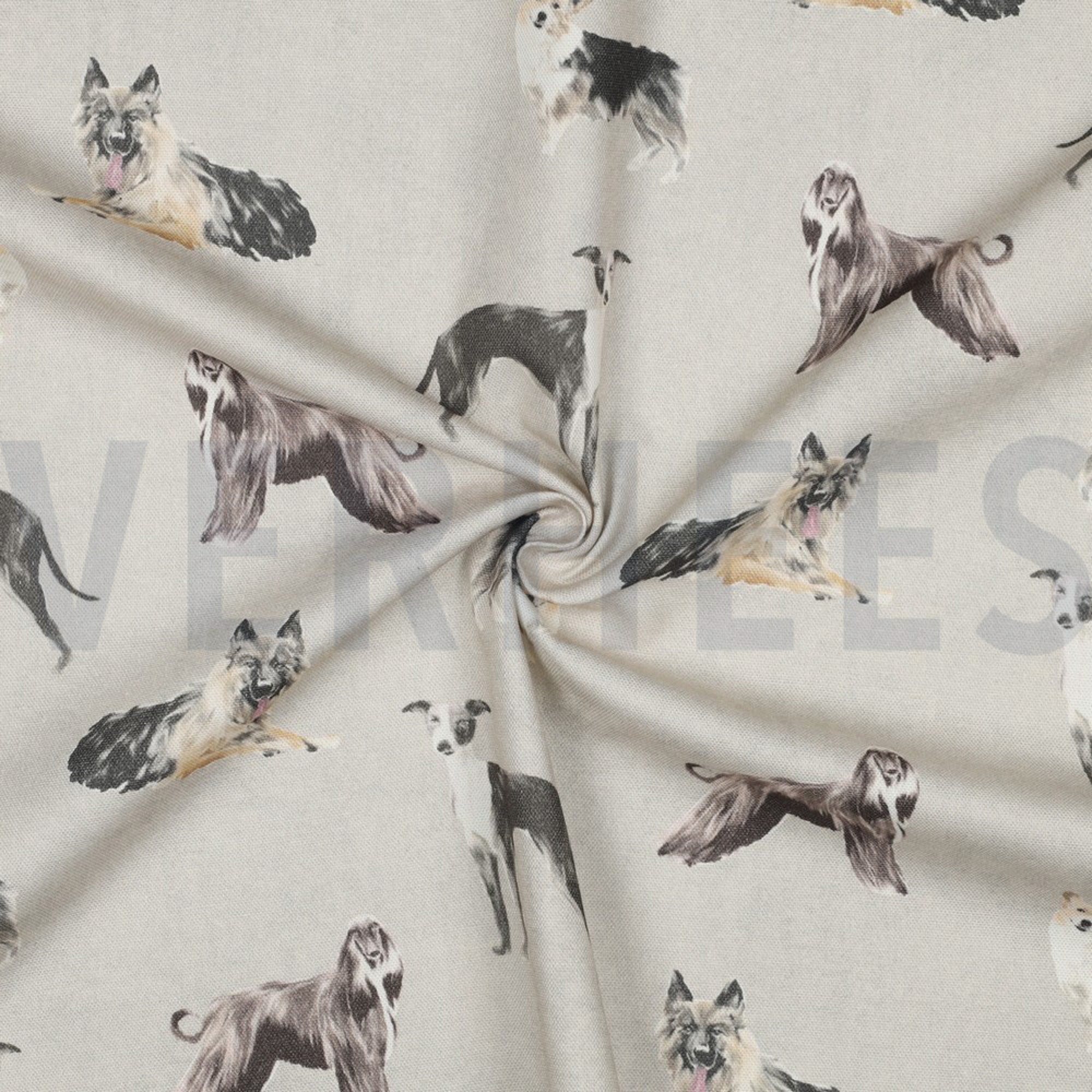 CANVAS DIGITAL DOGS ECRU (high resolution) #3