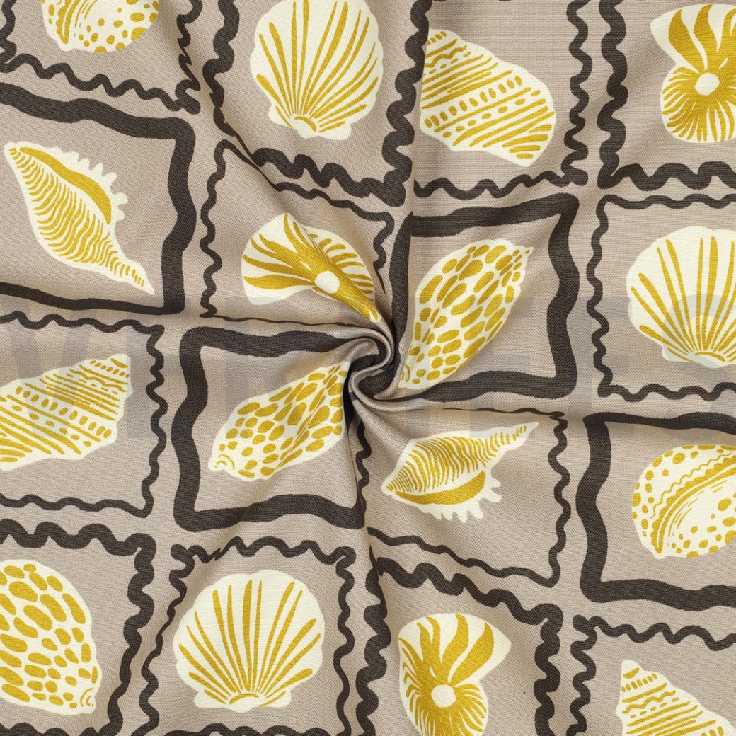 CANVAS SHELLS SAND #3