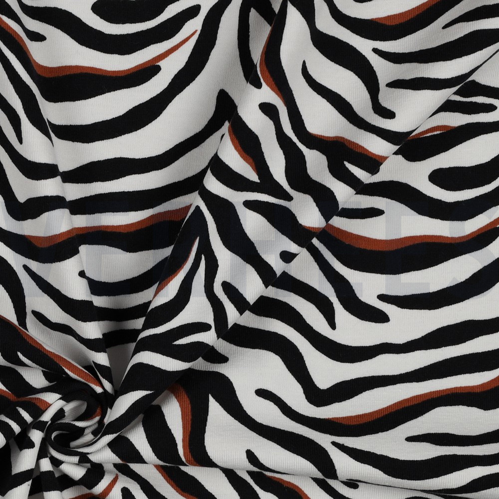 JERSEY ZEBRA ECRU (high resolution) #3
