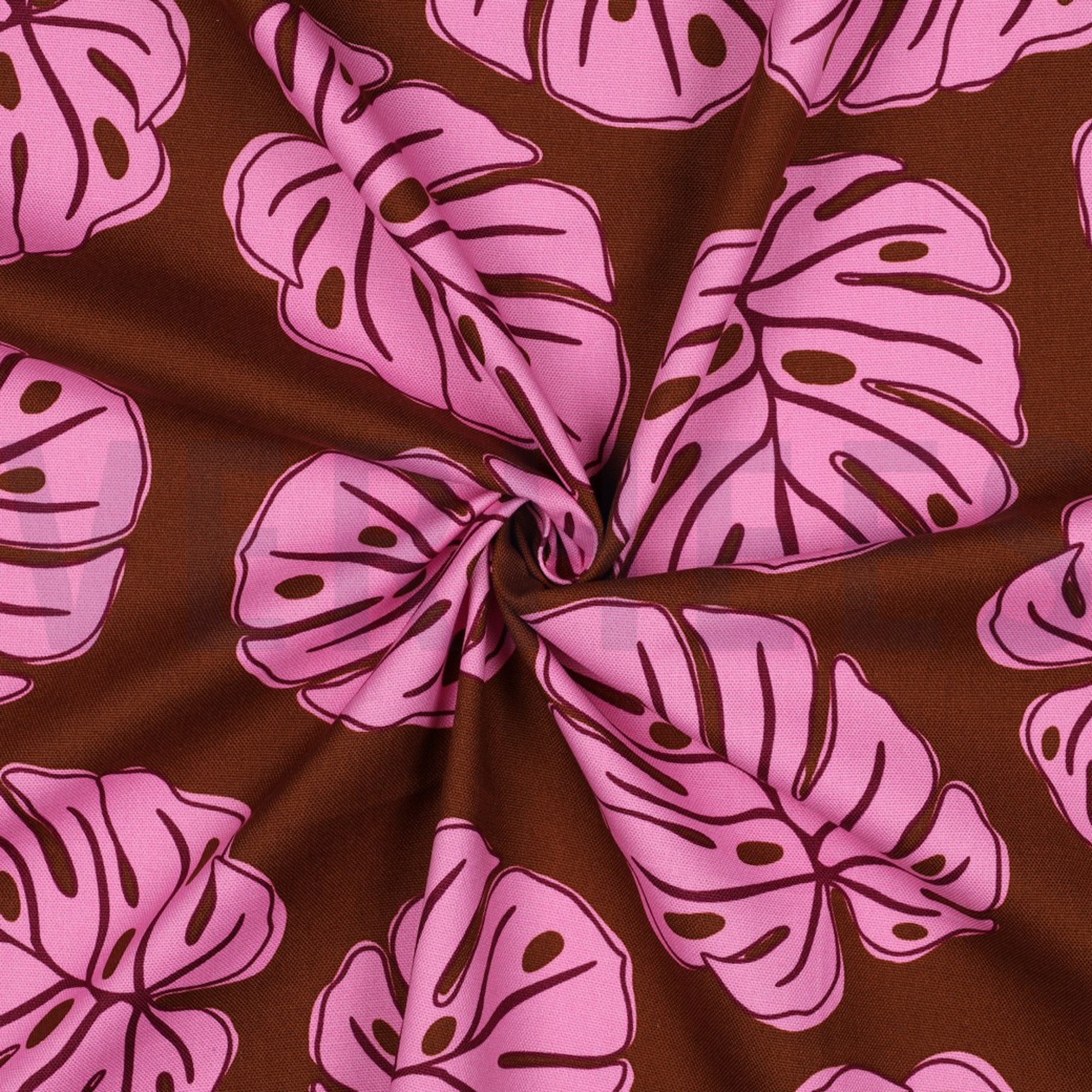 CANVAS MONSTERA LEAVES BROWN (high resolution) #3
