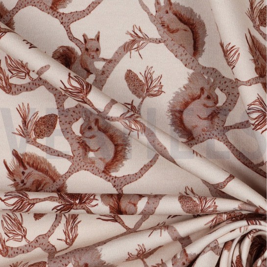 FRENCH TERRY DIGITAL SQUIRRELS ECRU #7