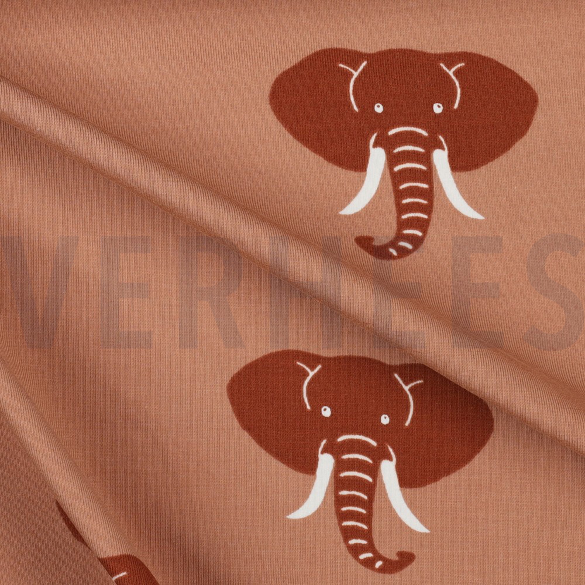JERSEY ELEPHANT DARK APRICOT (high resolution) #3