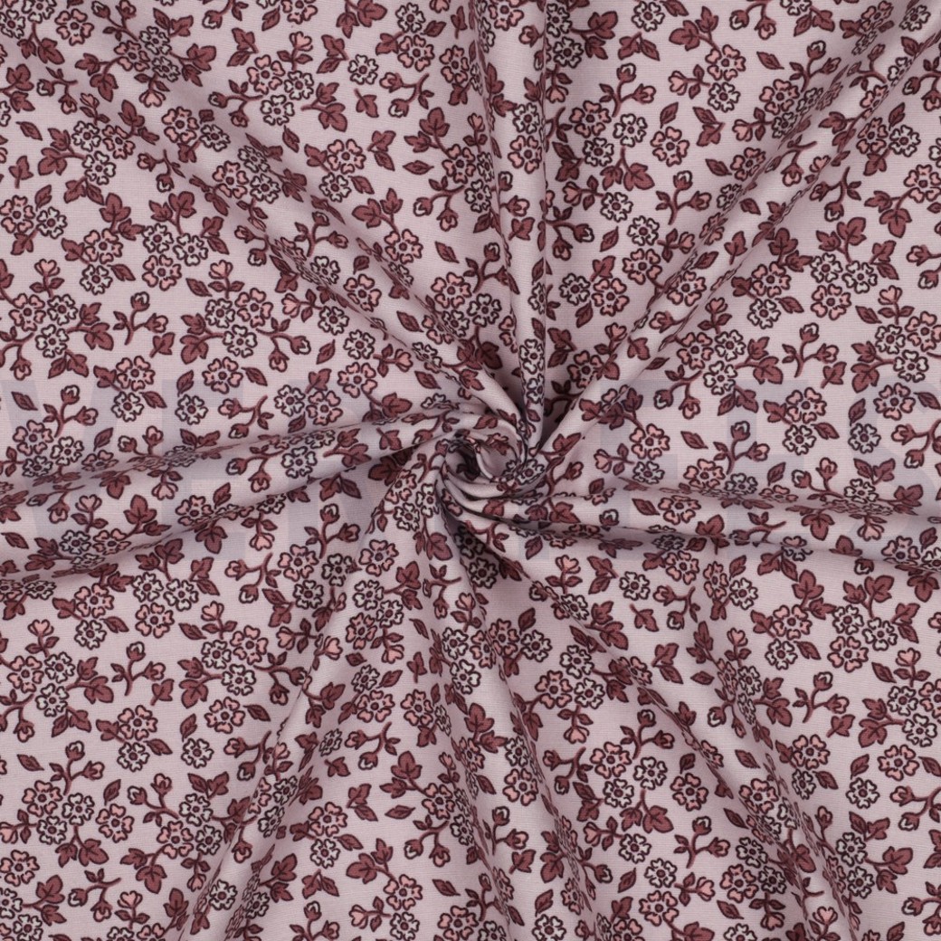 FLANNEL FLOWERS LIGHT PINK #3