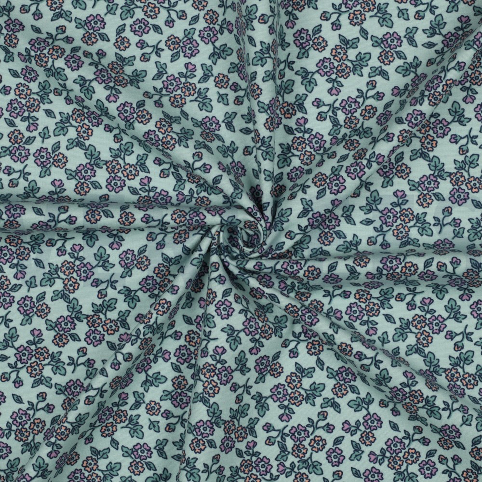 FLANNEL FLOWERS MINT (high resolution) #3