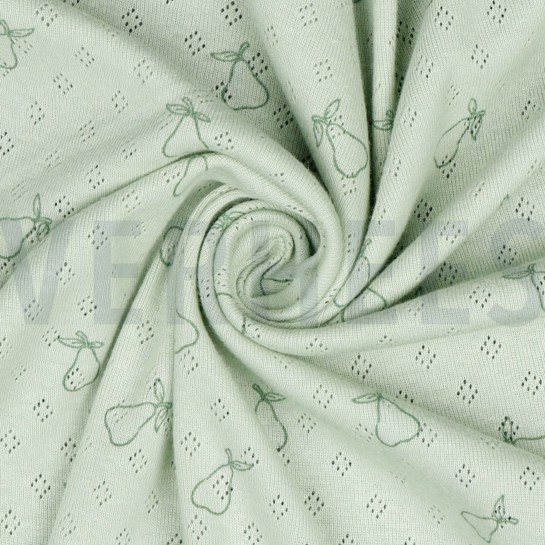 POINTOILLE PEAR NILE #7