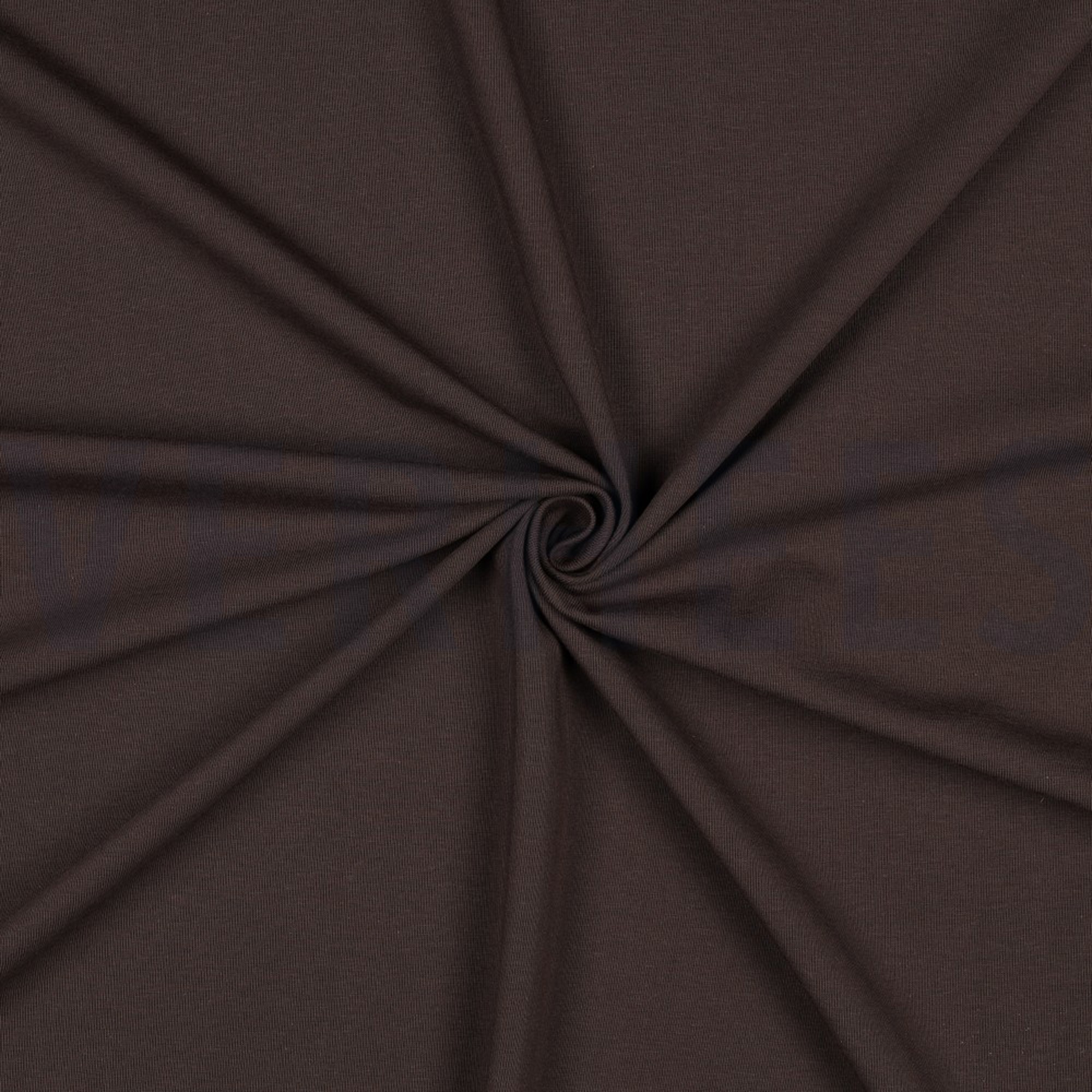 JERSEY GOTS DARK BROWN (high resolution) #3