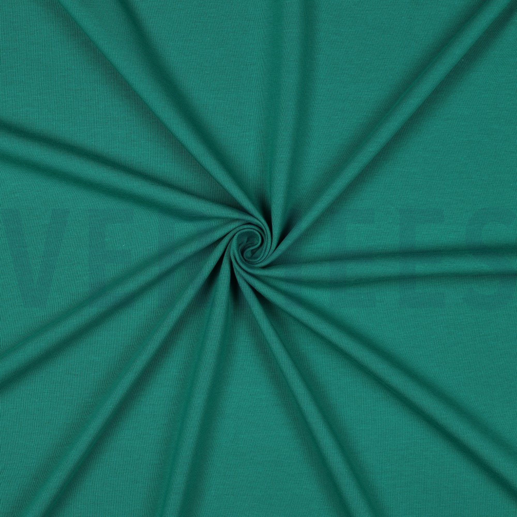 JERSEY GOTS EMERALD (high resolution) #3