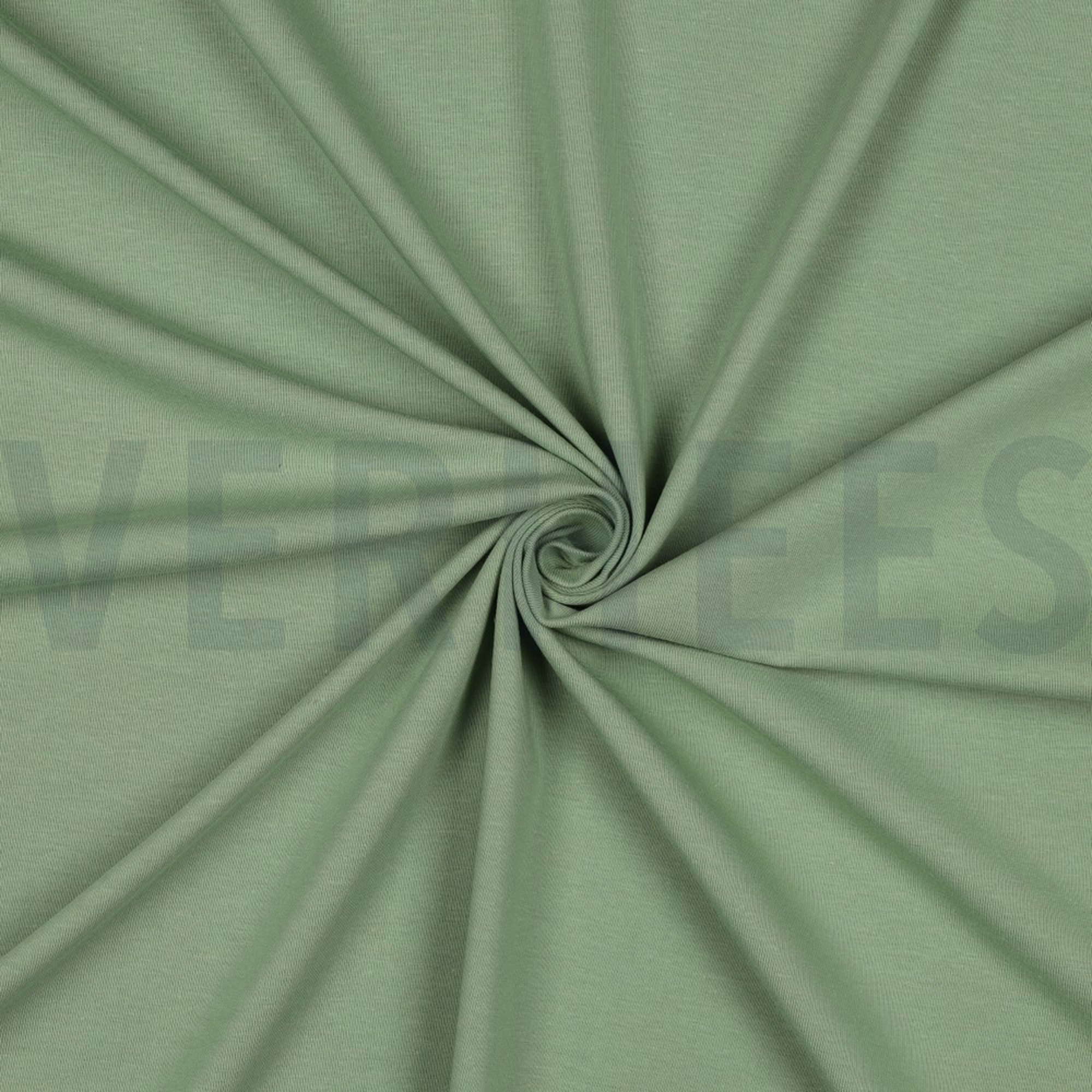 JERSEY GOTS MINT GREEN (high resolution) #3