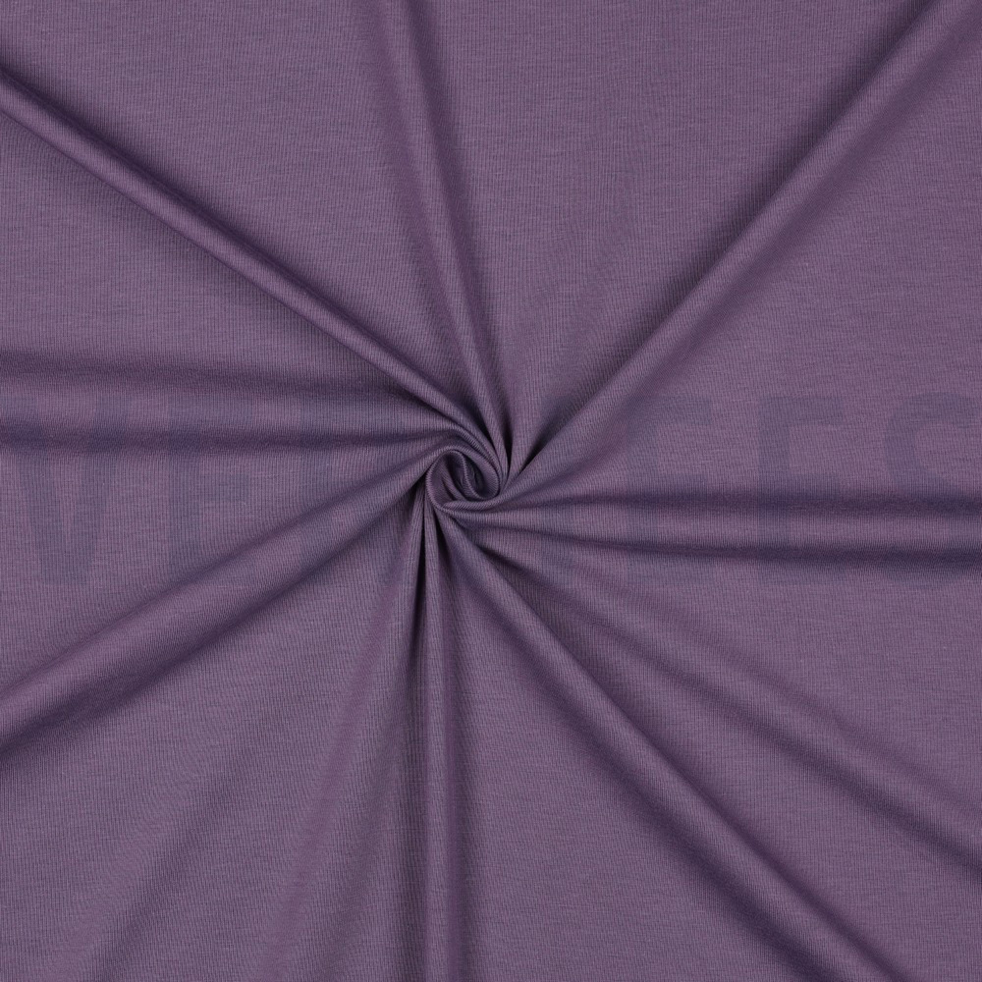 JERSEY GOTS GRAPE (high resolution) #3