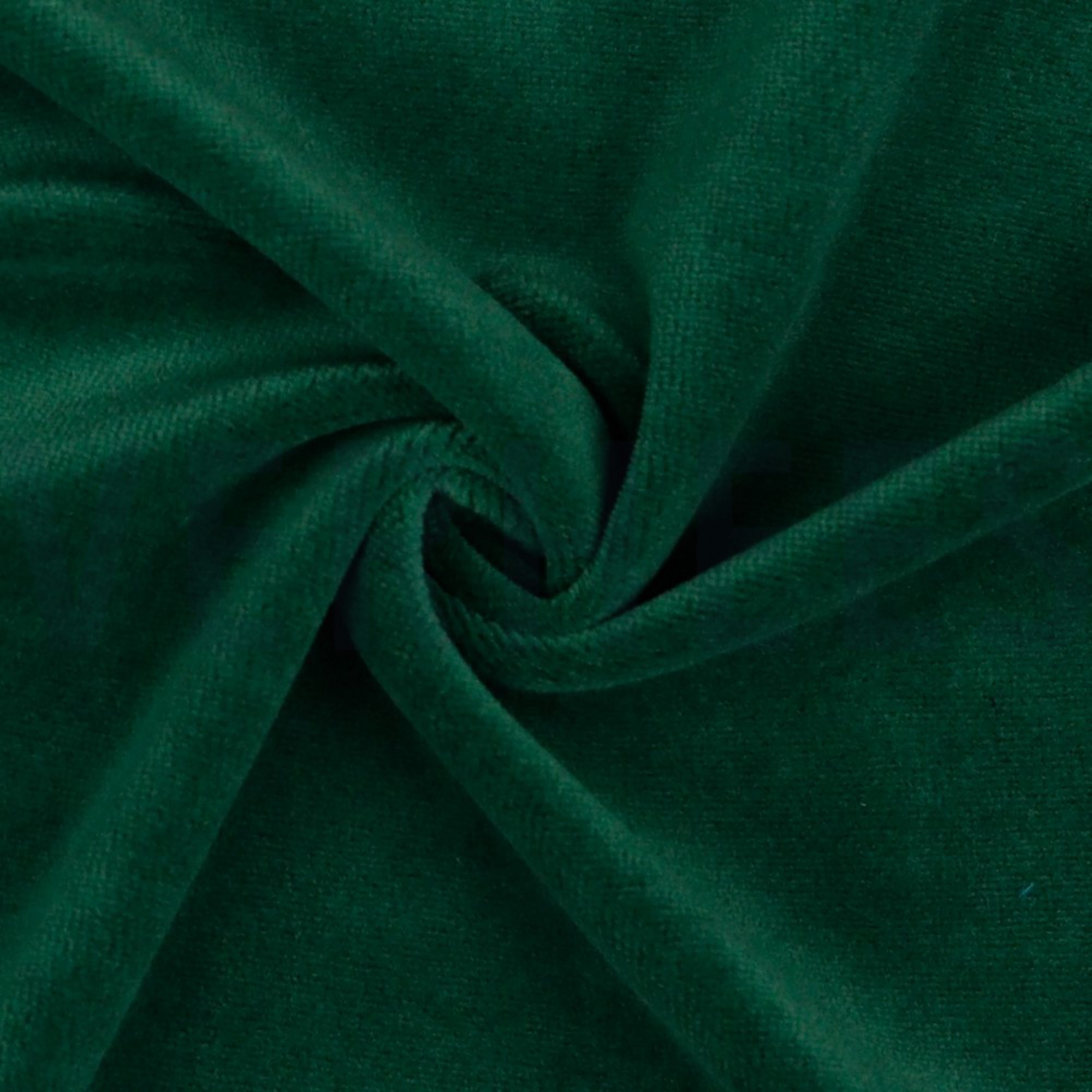 NICKY DARK GREEN (high resolution) #3
