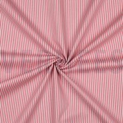 POPLIN STRIPE BLUSH (thumbnail) #3