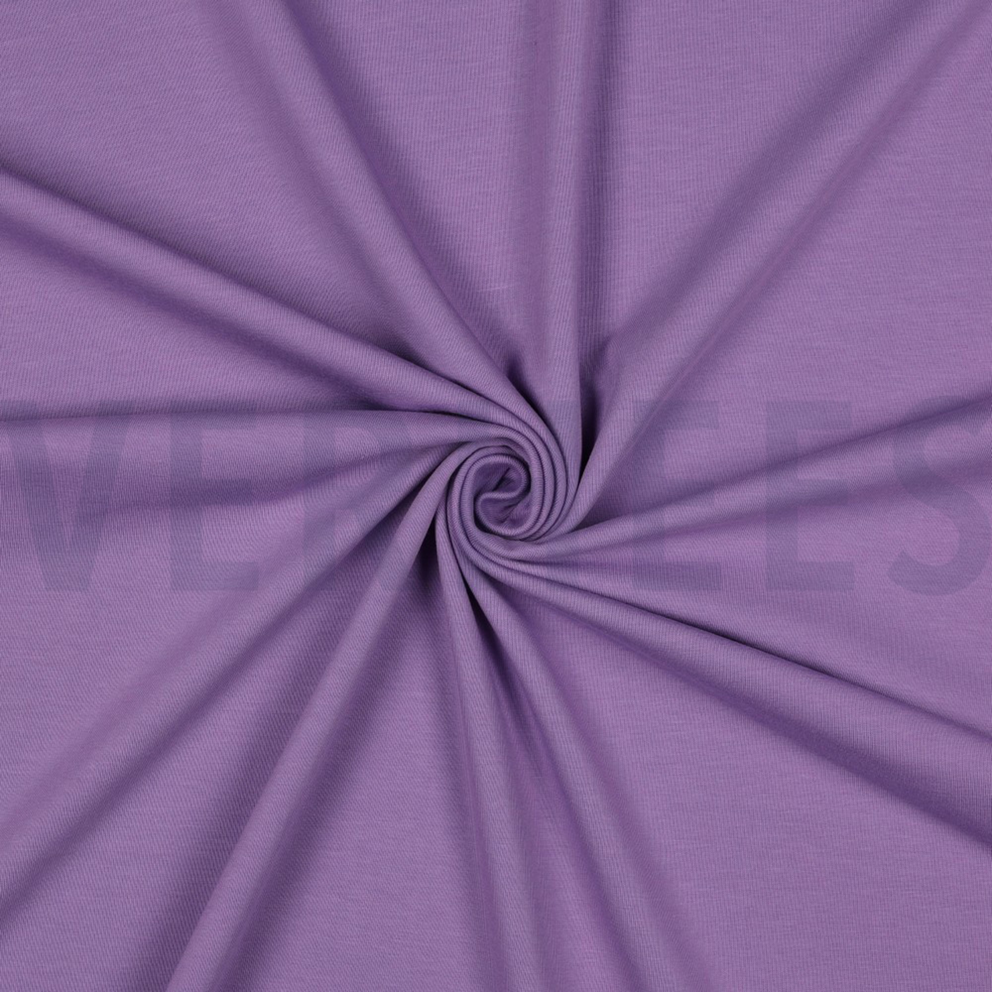 JERSEY LILAC (high resolution) #3