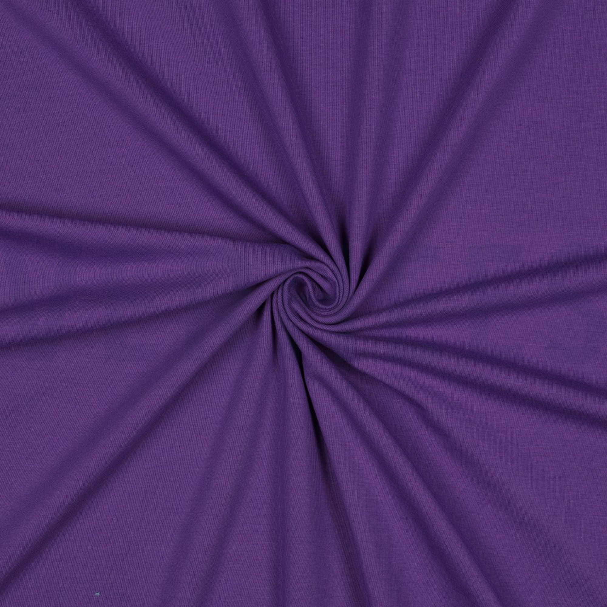 JERSEY PURPLE (high resolution) #3