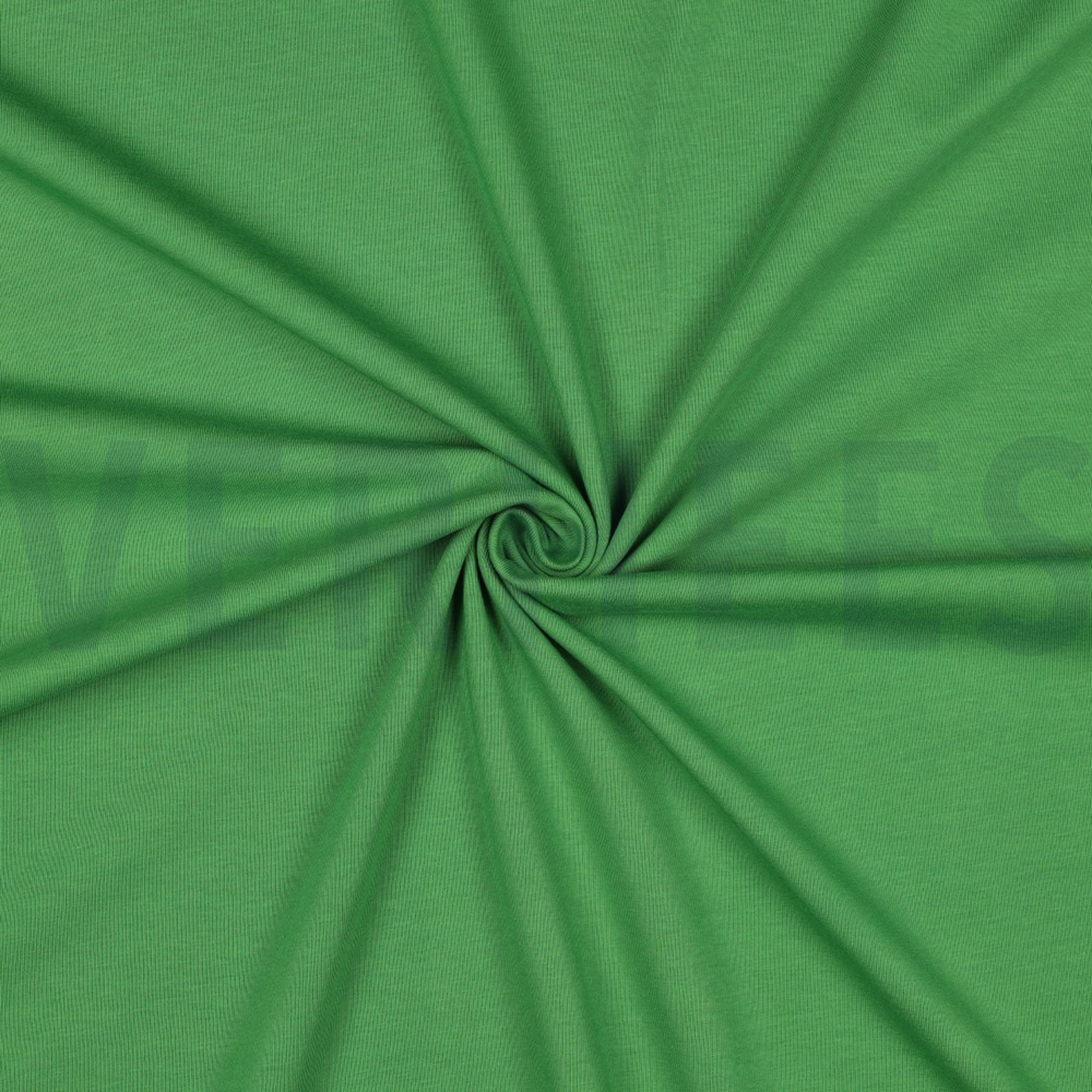 JERSEY GREEN (high resolution) #3