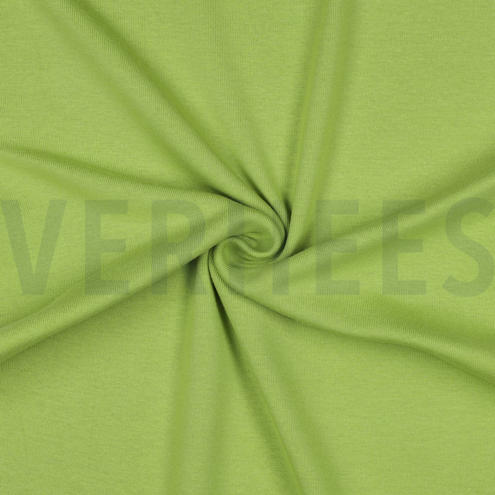 TUBE OLIVE (high resolution) #3
