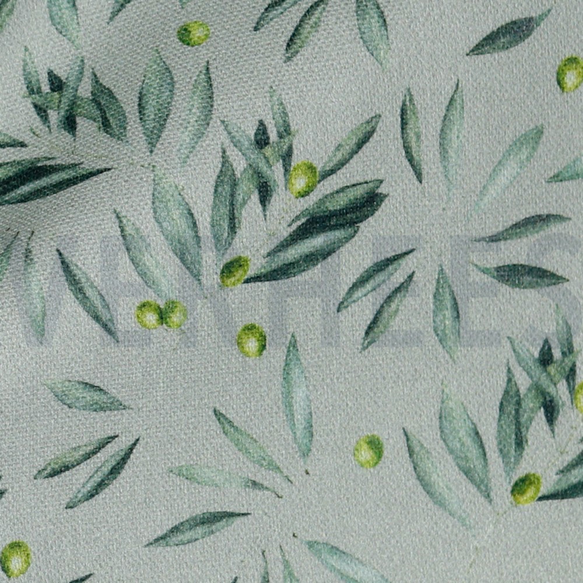 CANVAS DIGITAL OLIVE LIGHT GREY (high resolution) #3