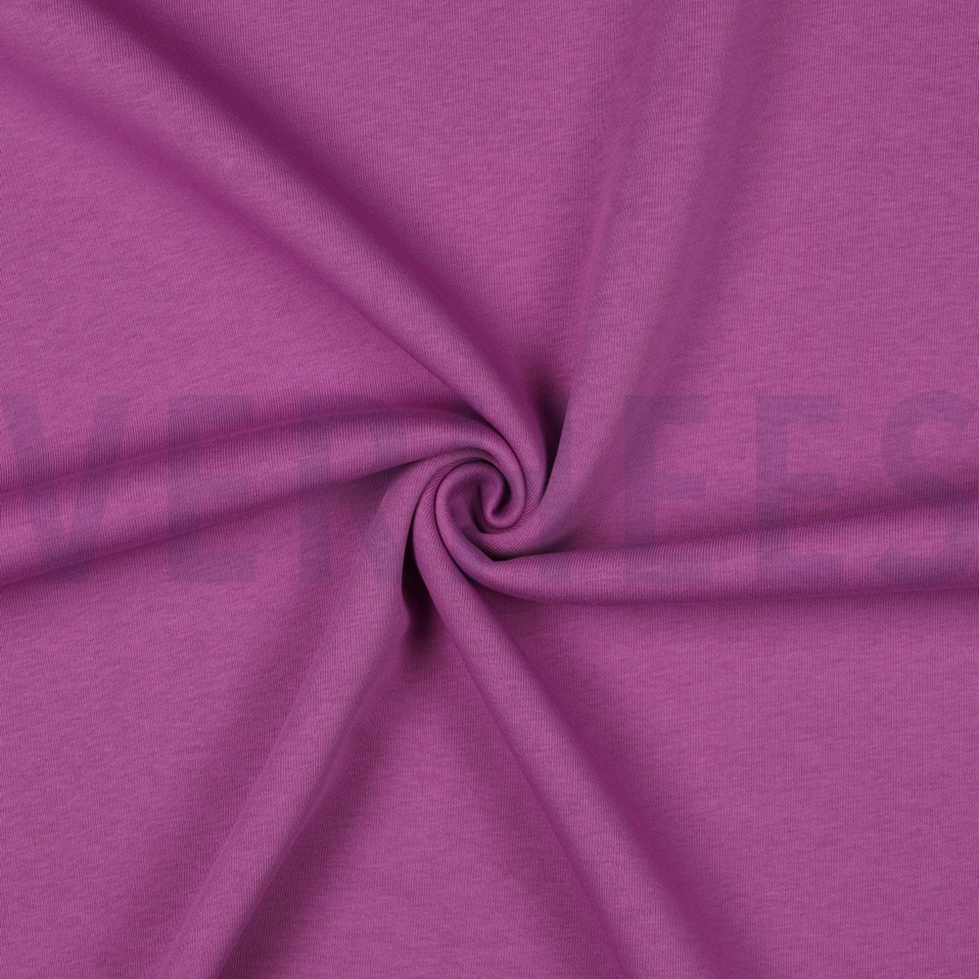 JOGGING LIGHT VIOLET (high resolution) #3