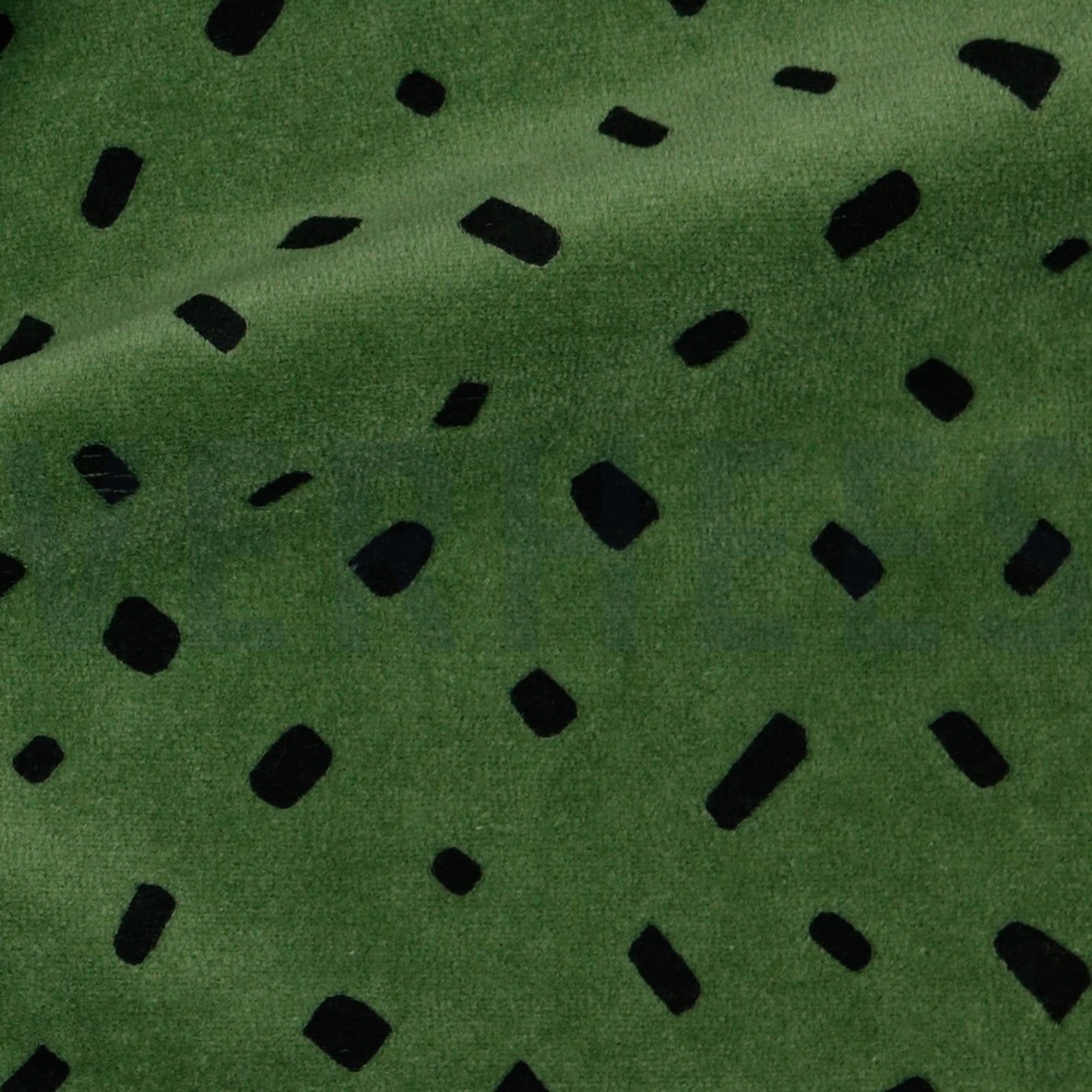 NICKY SHAPE PICKLE (high resolution) #3