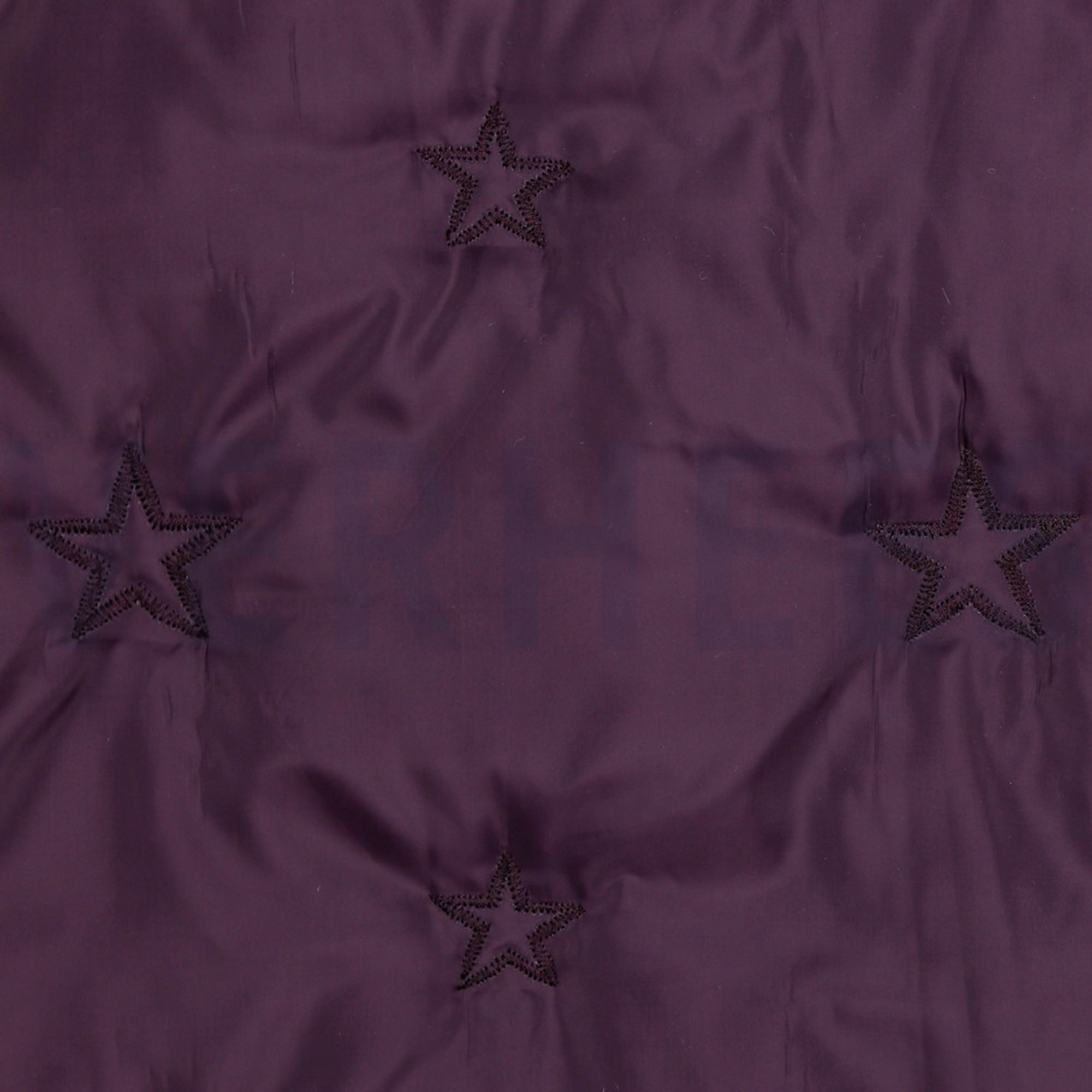 STEPPED STAR BERRY (high resolution) #3