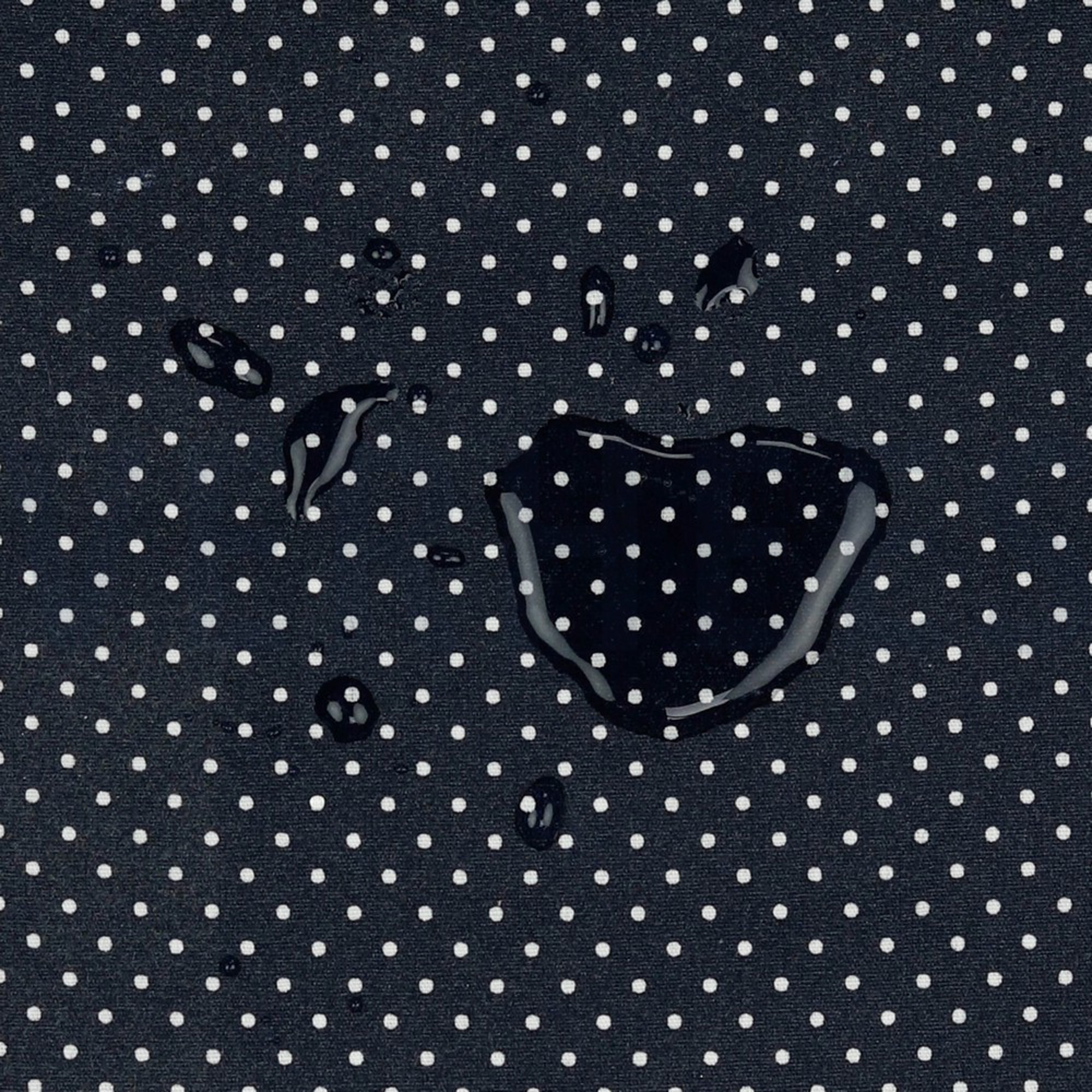COATED COTTON PETIT DOTS NAVY (high resolution) #3