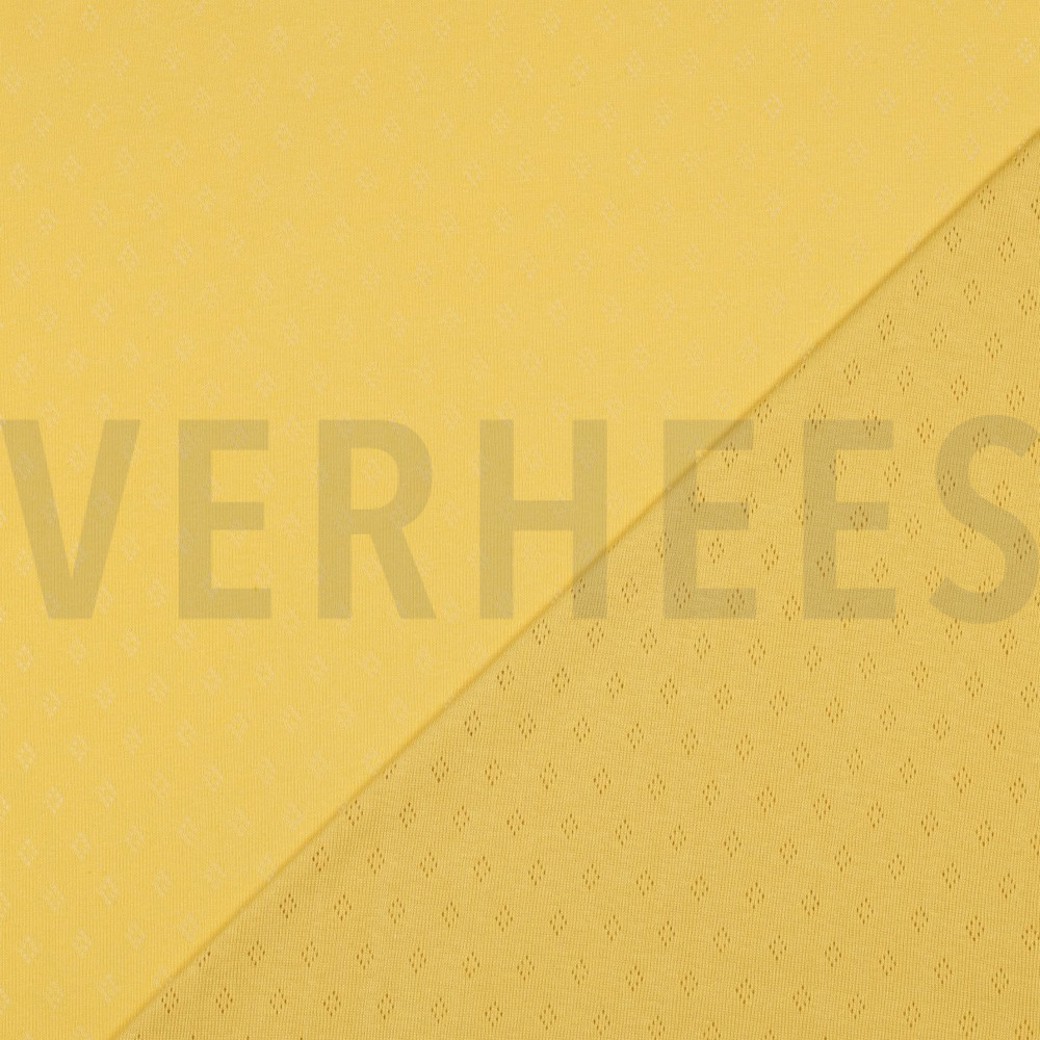 POINTOILLE SOFT YELLOW #4