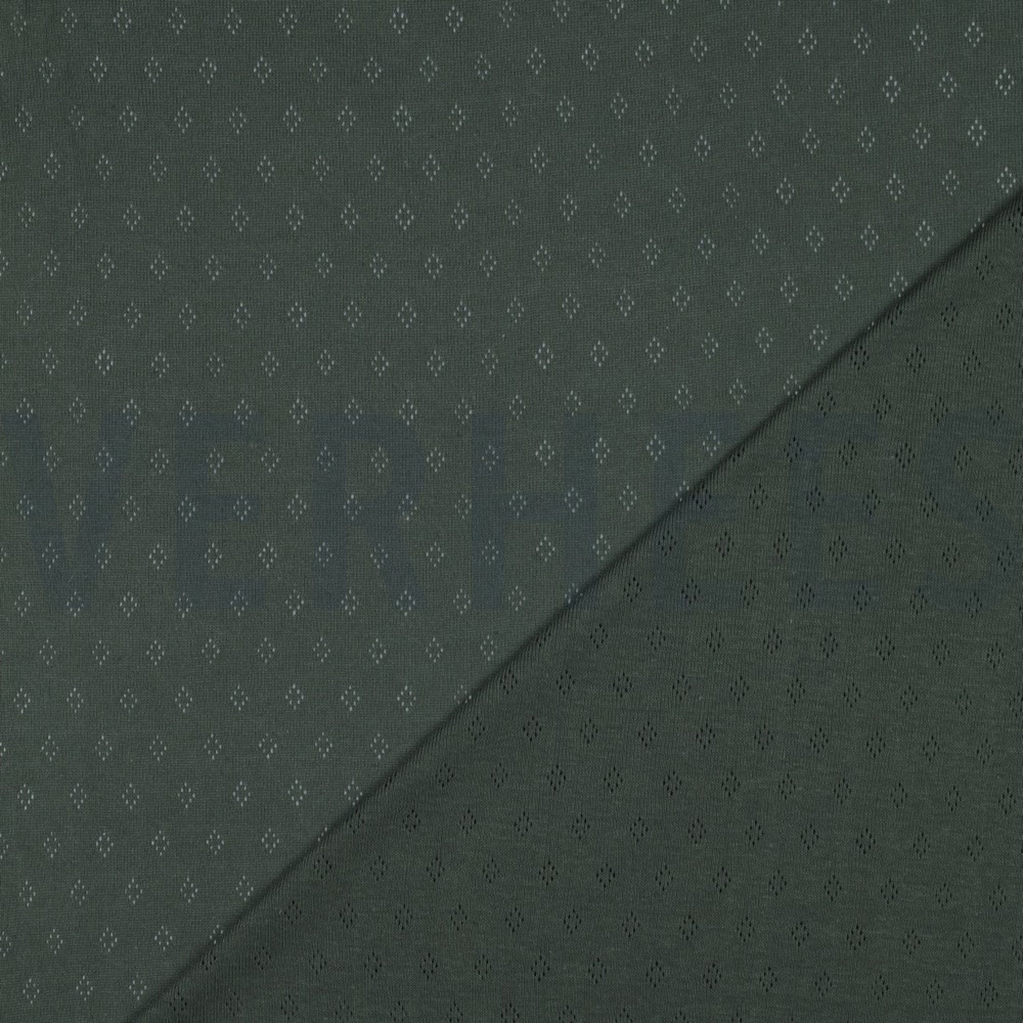 POINTOILLE DARK GREEN (high resolution) #4