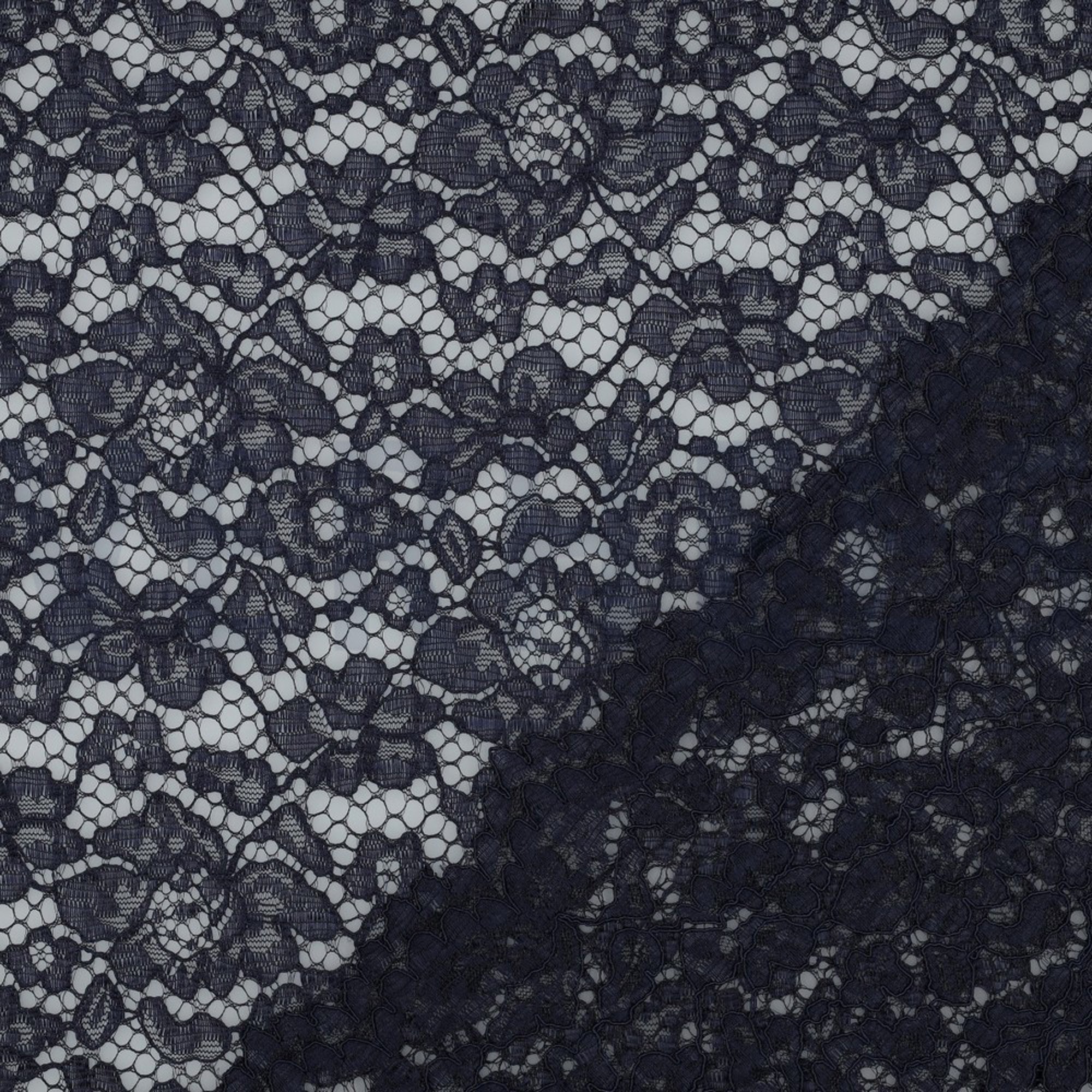 LACE BORDER 2 SIDES NAVY (high resolution) #4