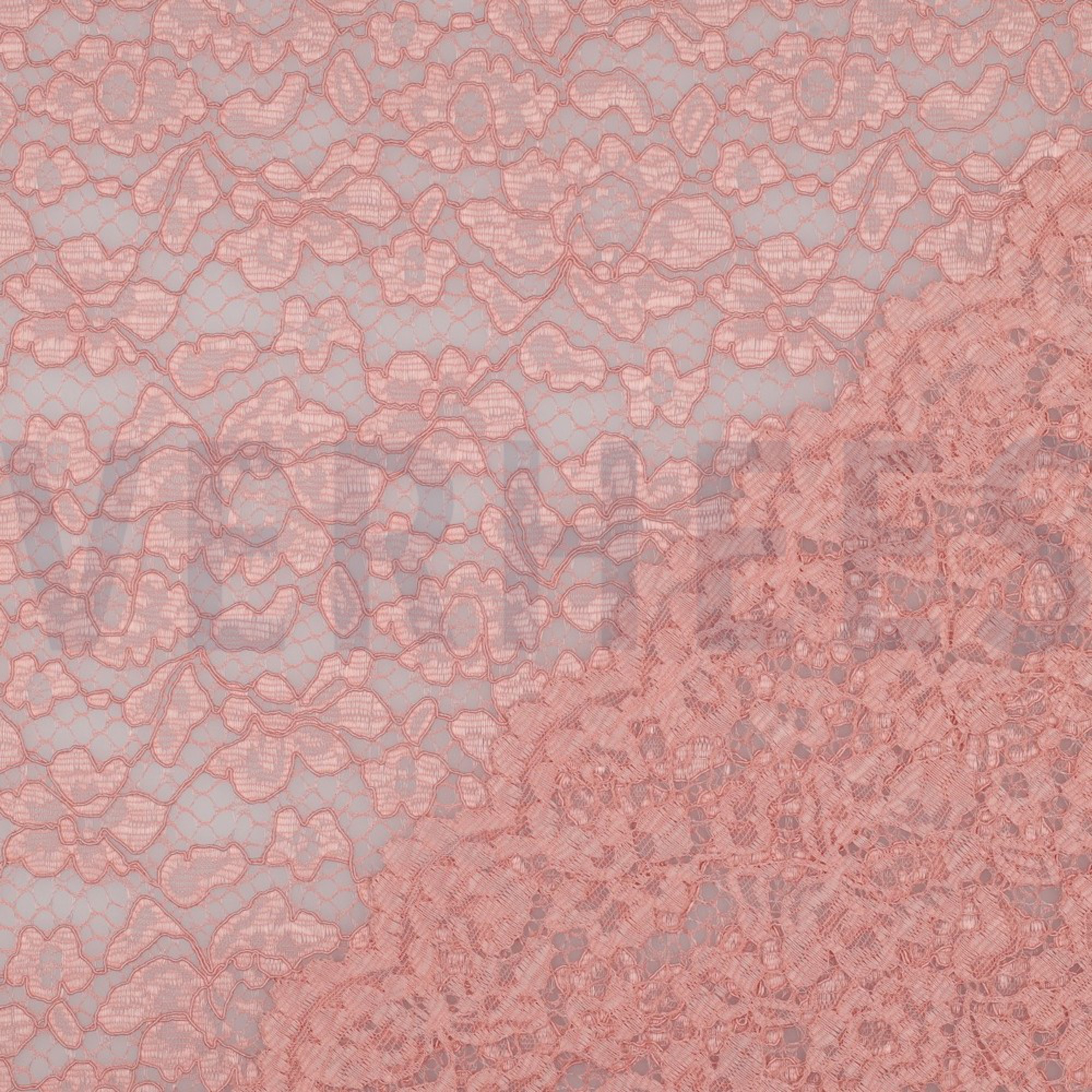 LACE BORDER 2 SIDES ROSE (high resolution) #4