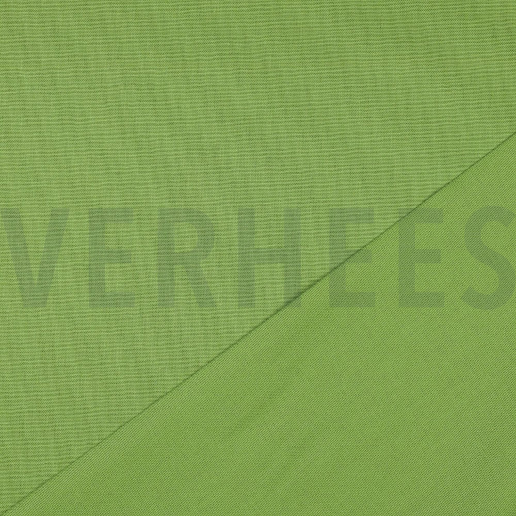 CANVAS LIME (high resolution) #4