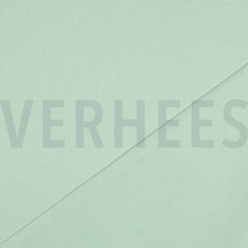 CANVAS MINT #4